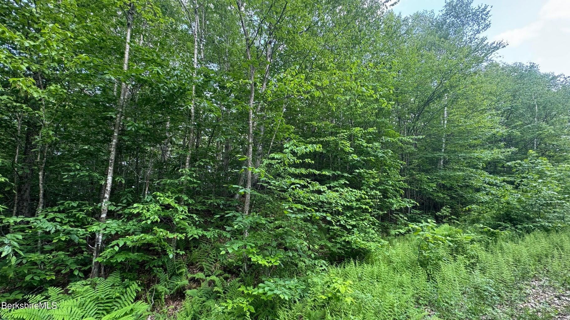 near 270 Bergabhang Drive Readsboro, VT 05350 Property 3