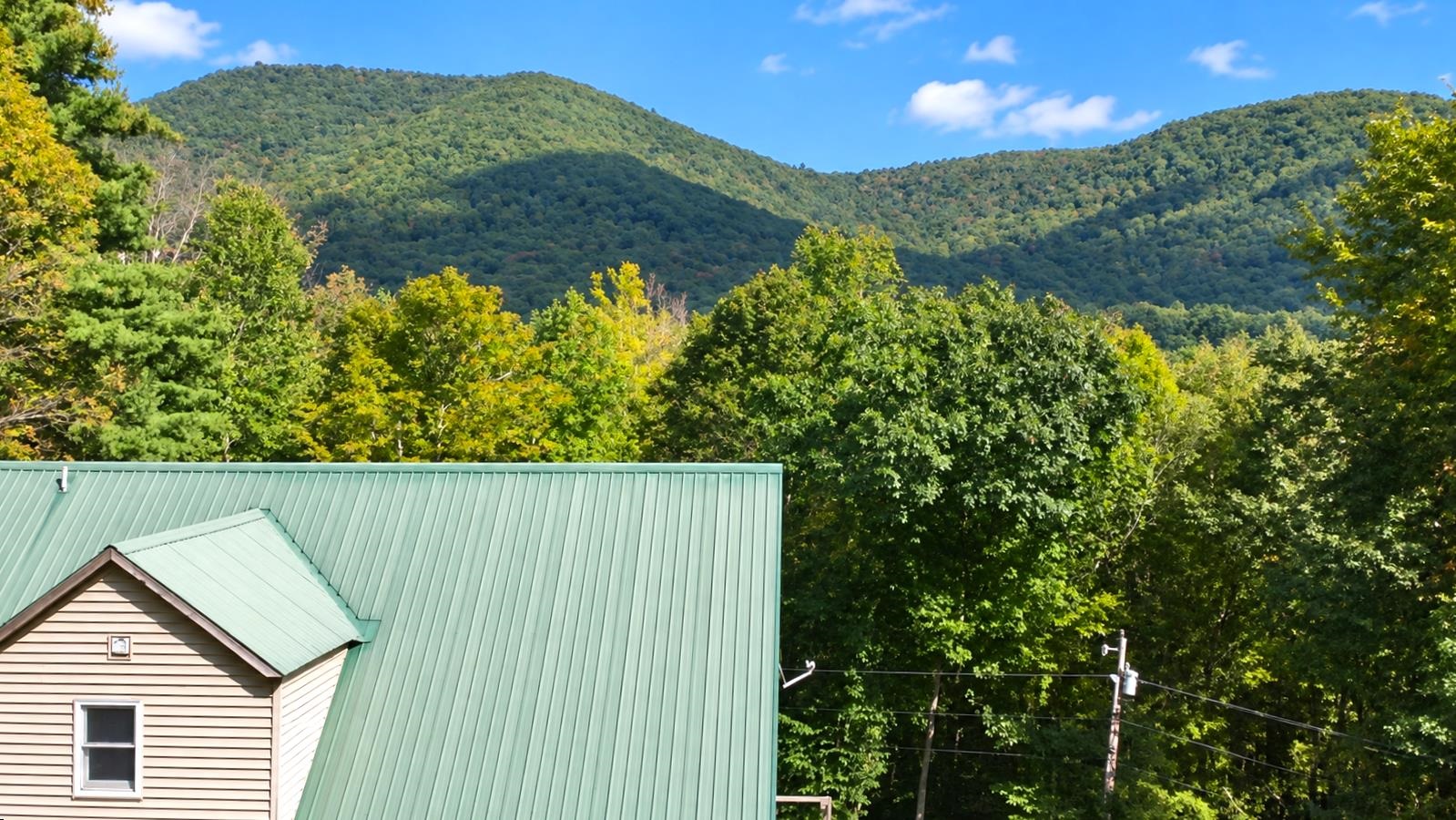 1725 Shaftsbury Hollow Road photo 3