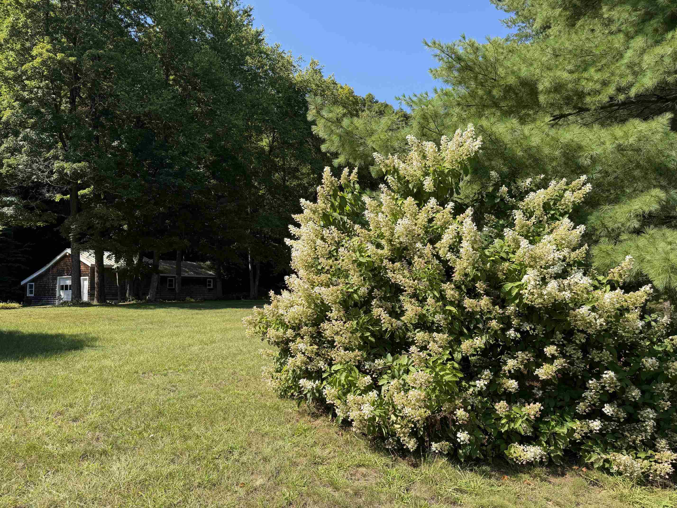 137 Newton Hills Road photo 36