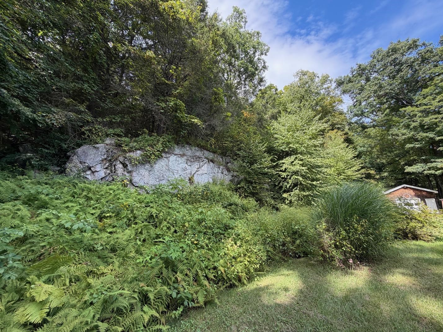 137 Newton Hills Road photo 39