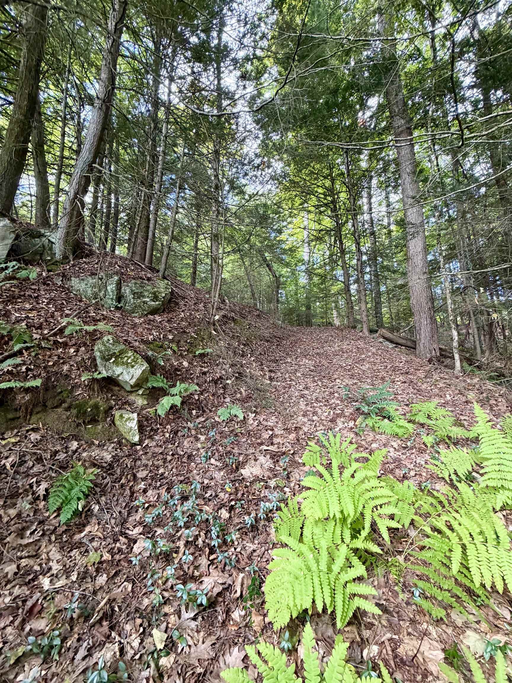 137 Newton Hills Road photo 40