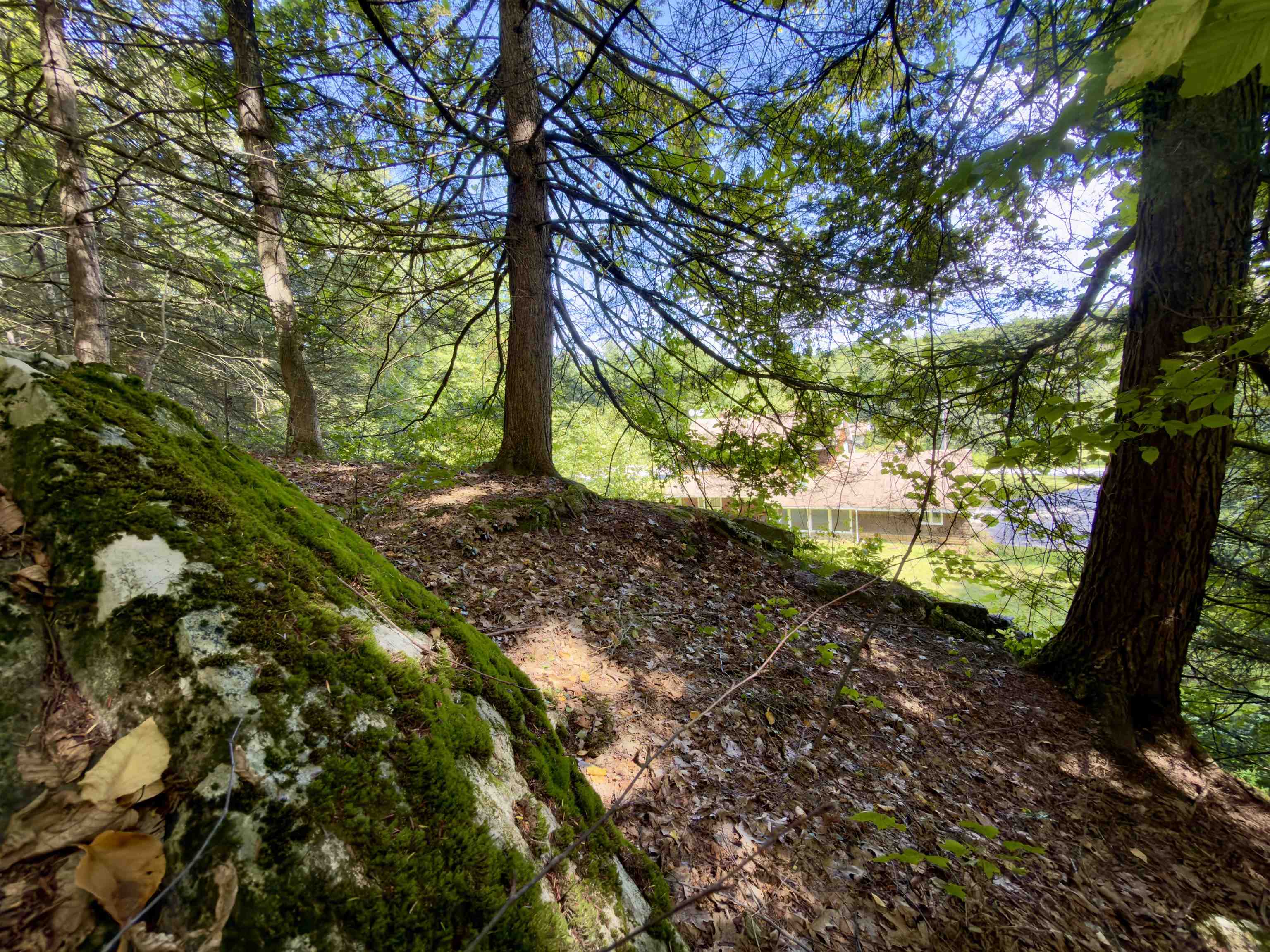 137 Newton Hills Road photo 42