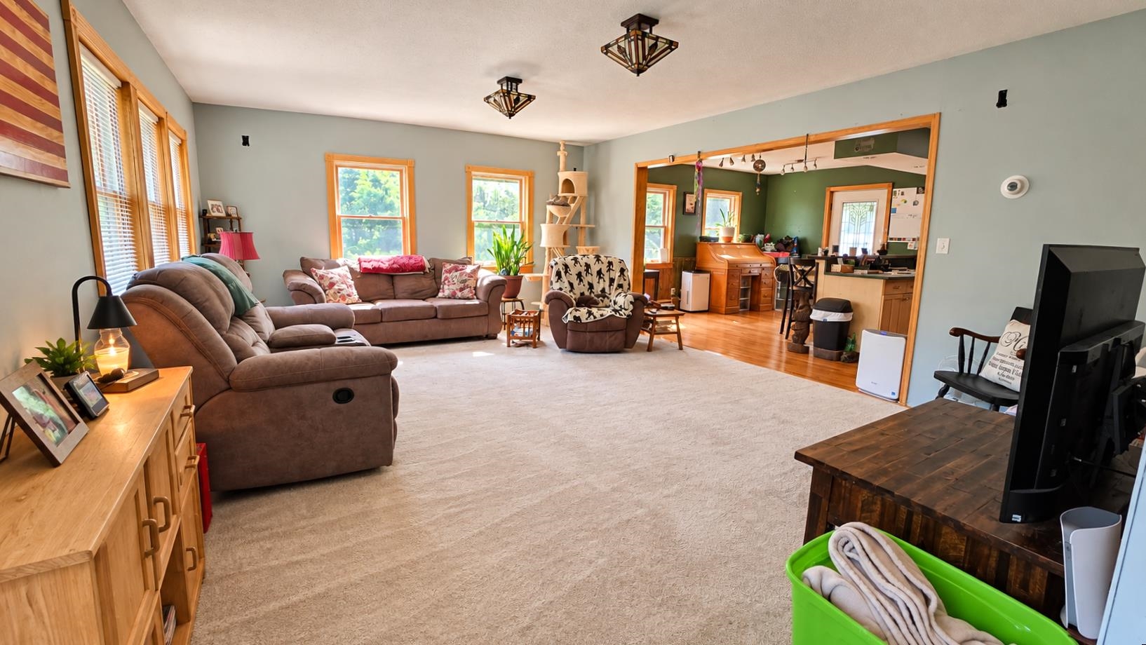 1725 Shaftsbury Hollow Road photo 8