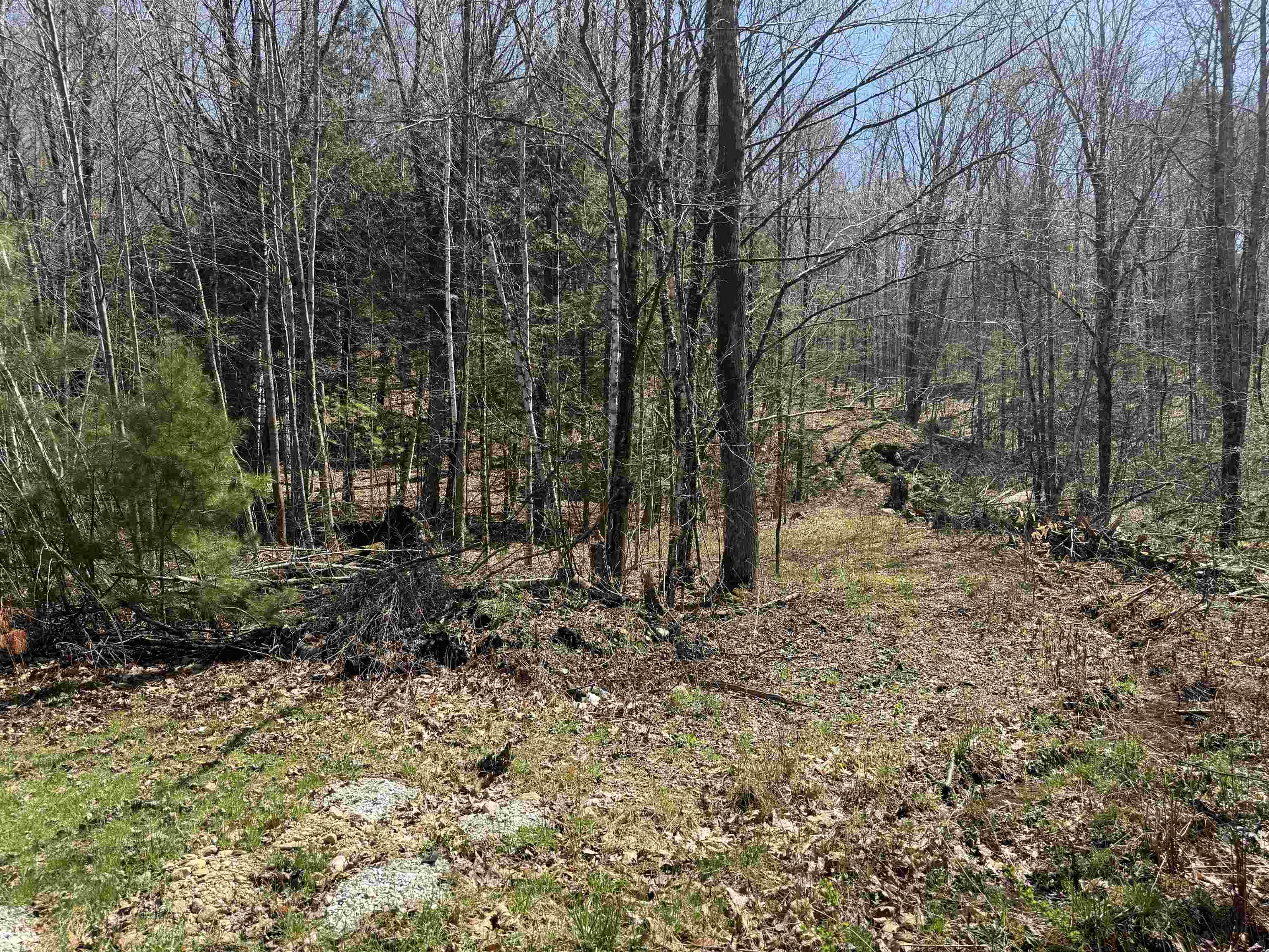 near 56 Franklin Street Brandon, VT 05733 Property 2