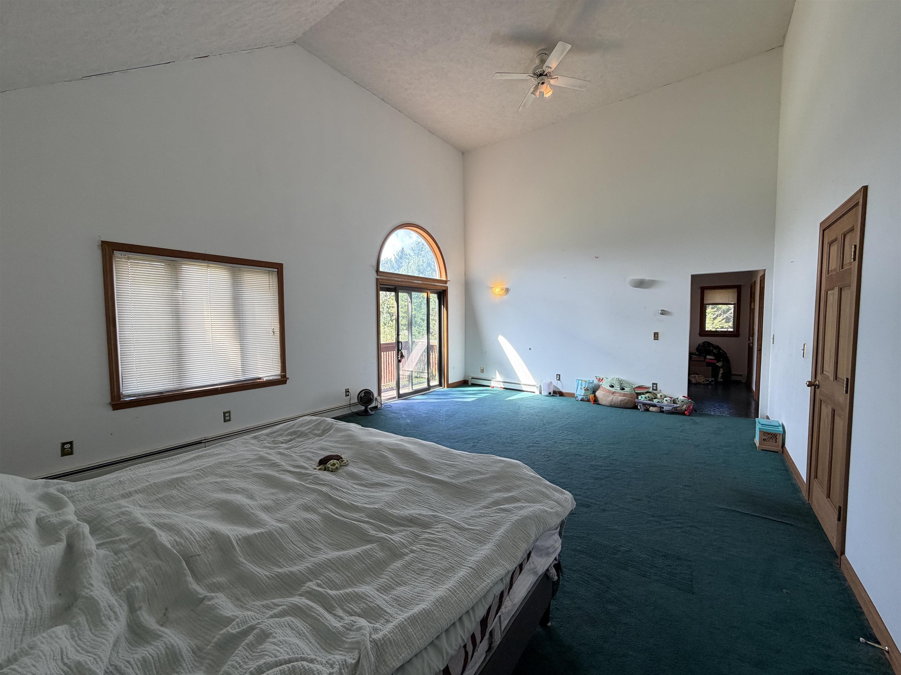 15 Bellows Street photo 32