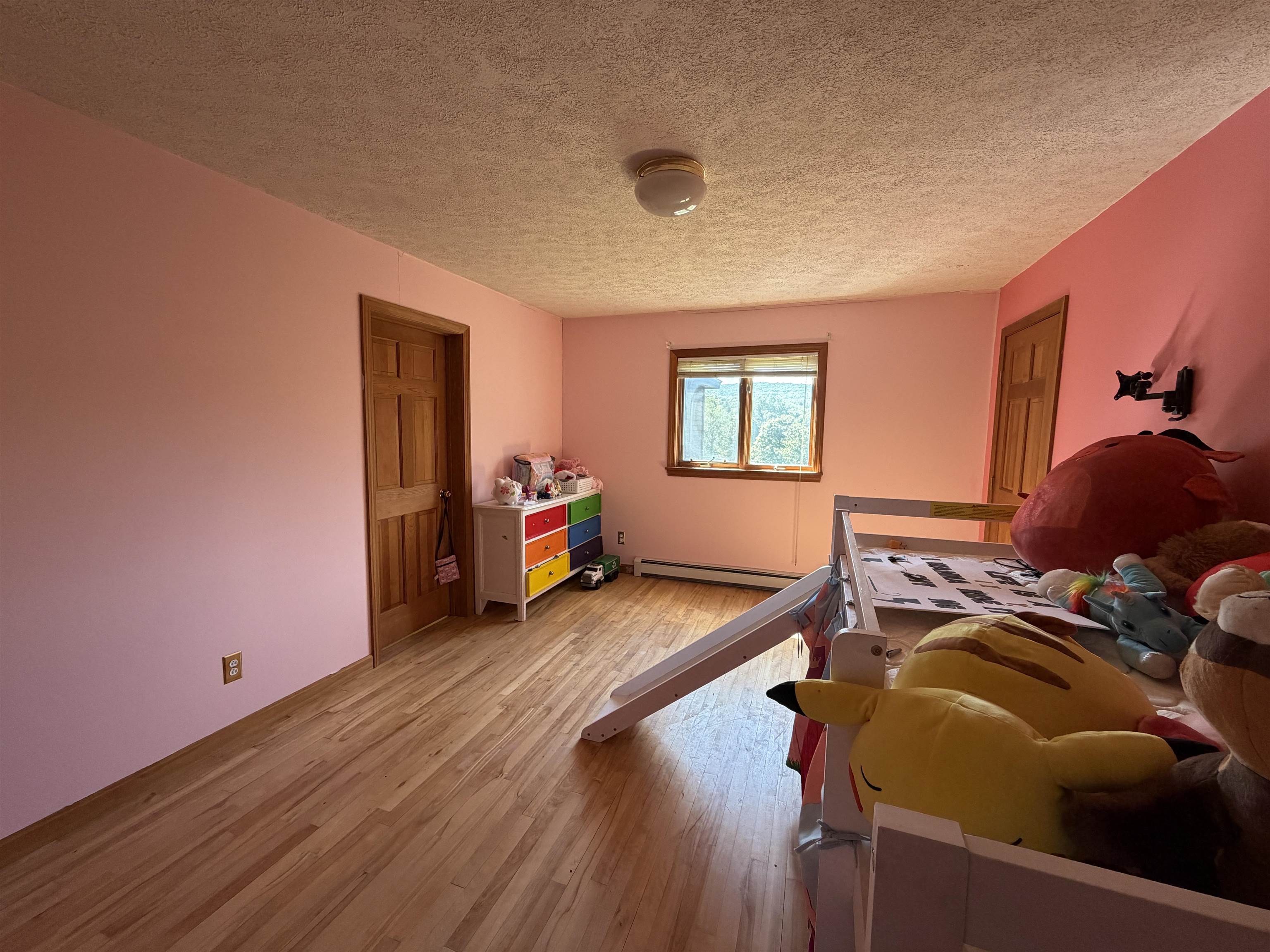 15 Bellows Street photo 42