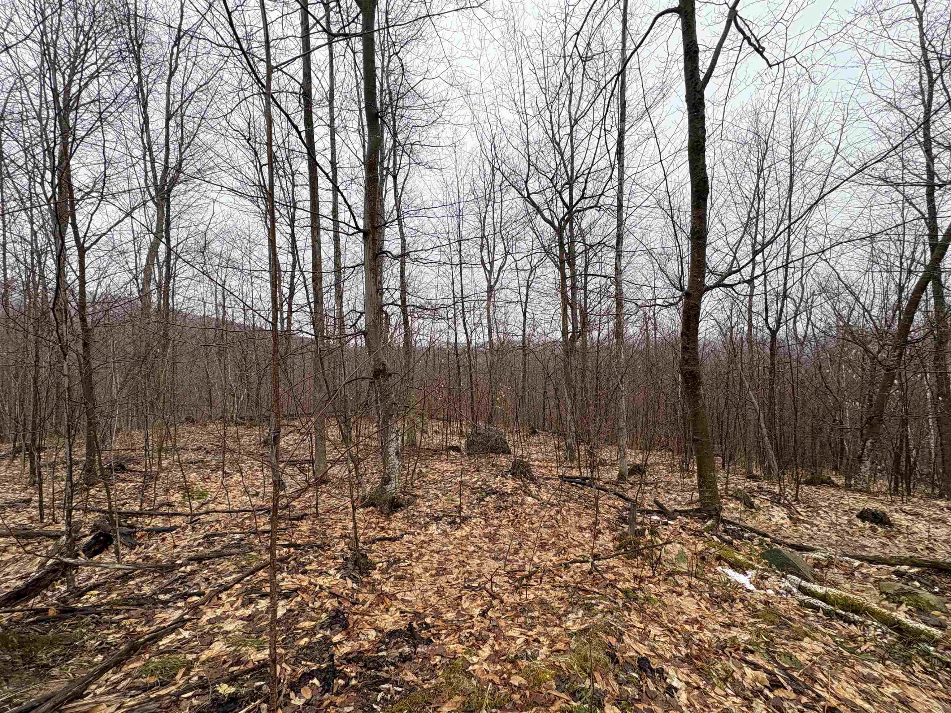 near Lot E/S VT Route 101 Troy, VT 05859 Property 3