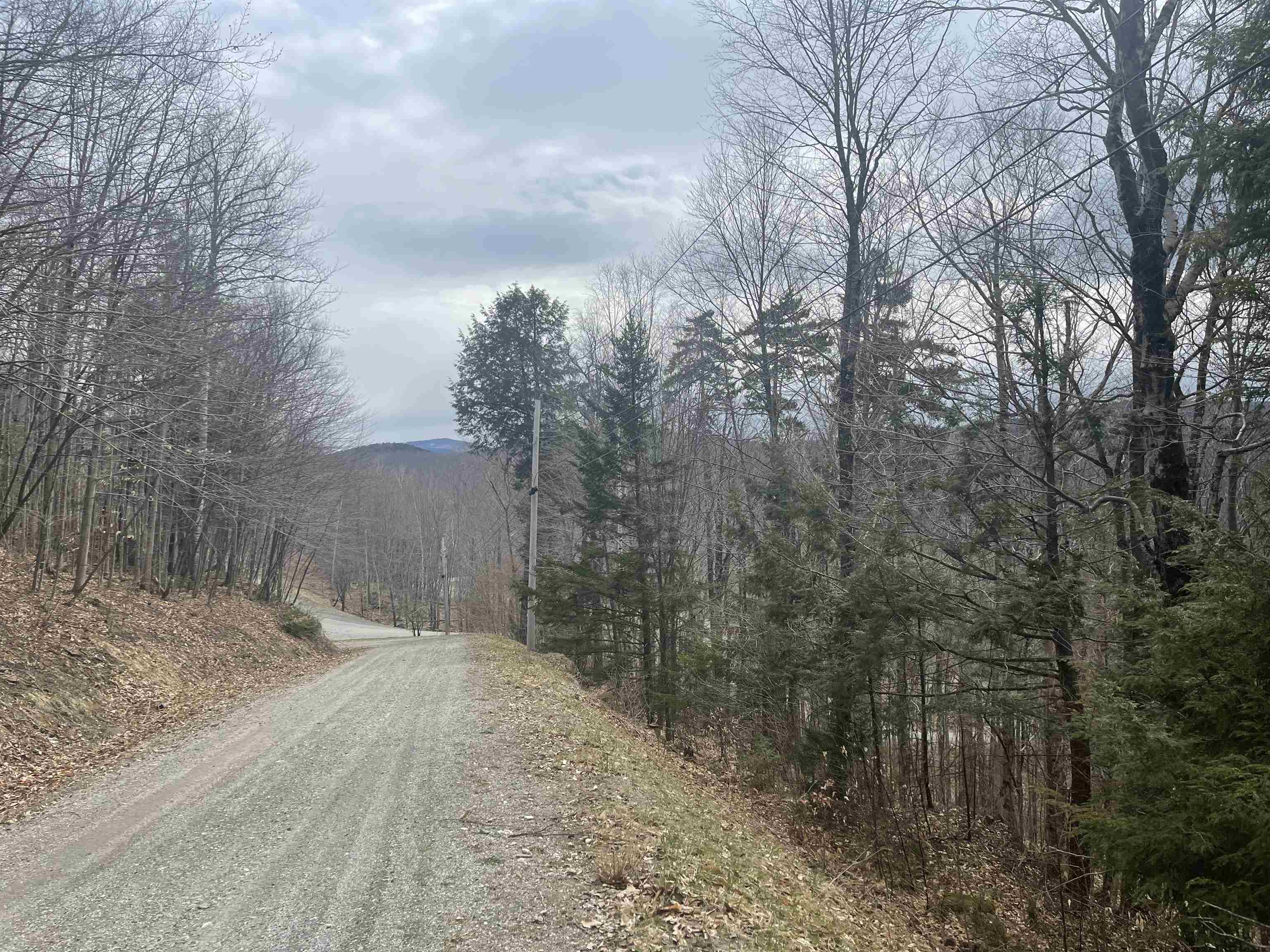 near S-1d Great Roaring Brook Road Plymouth, VT 05056 Property 2