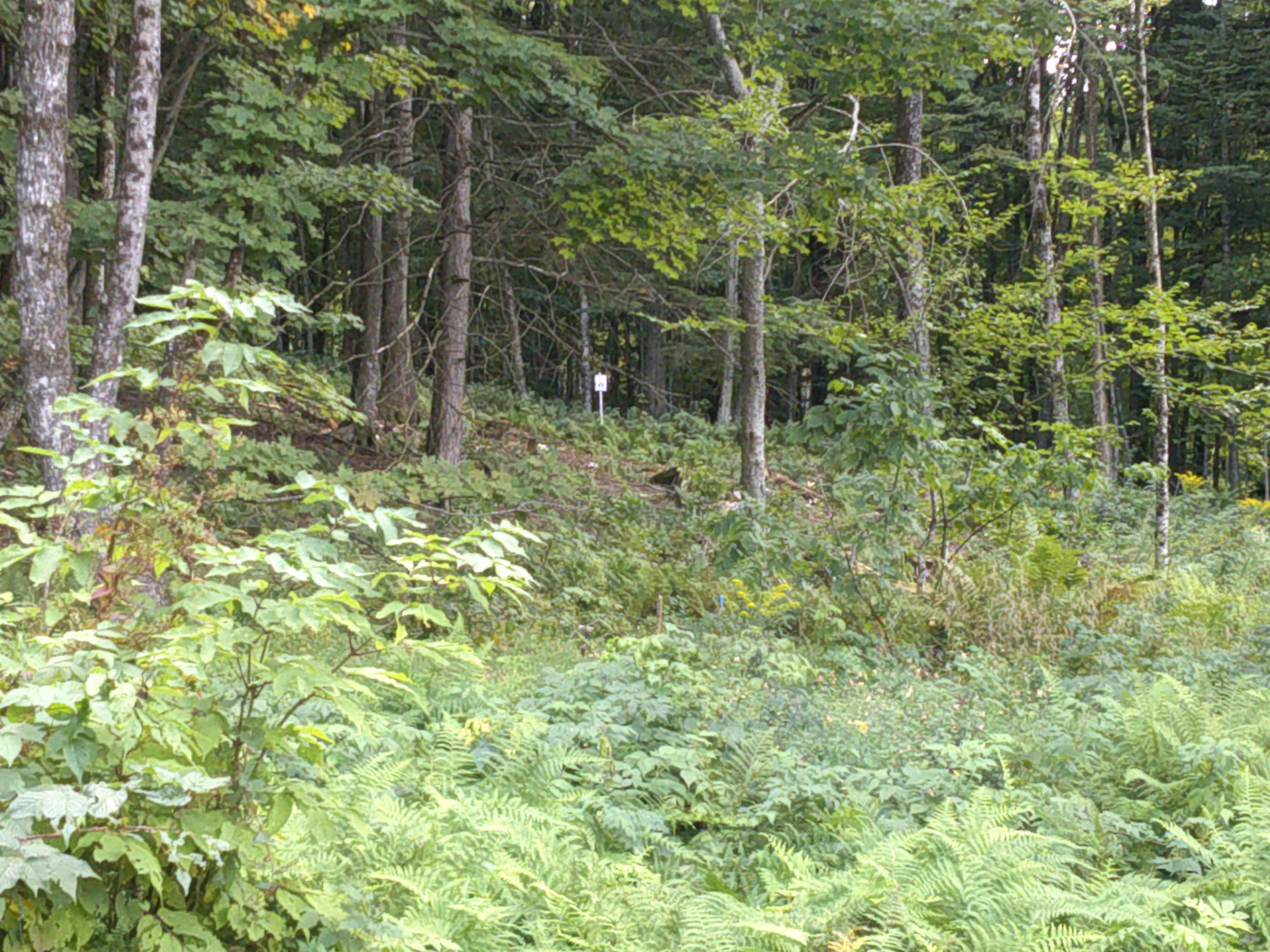 0 Dogwood Springs Road photo 10