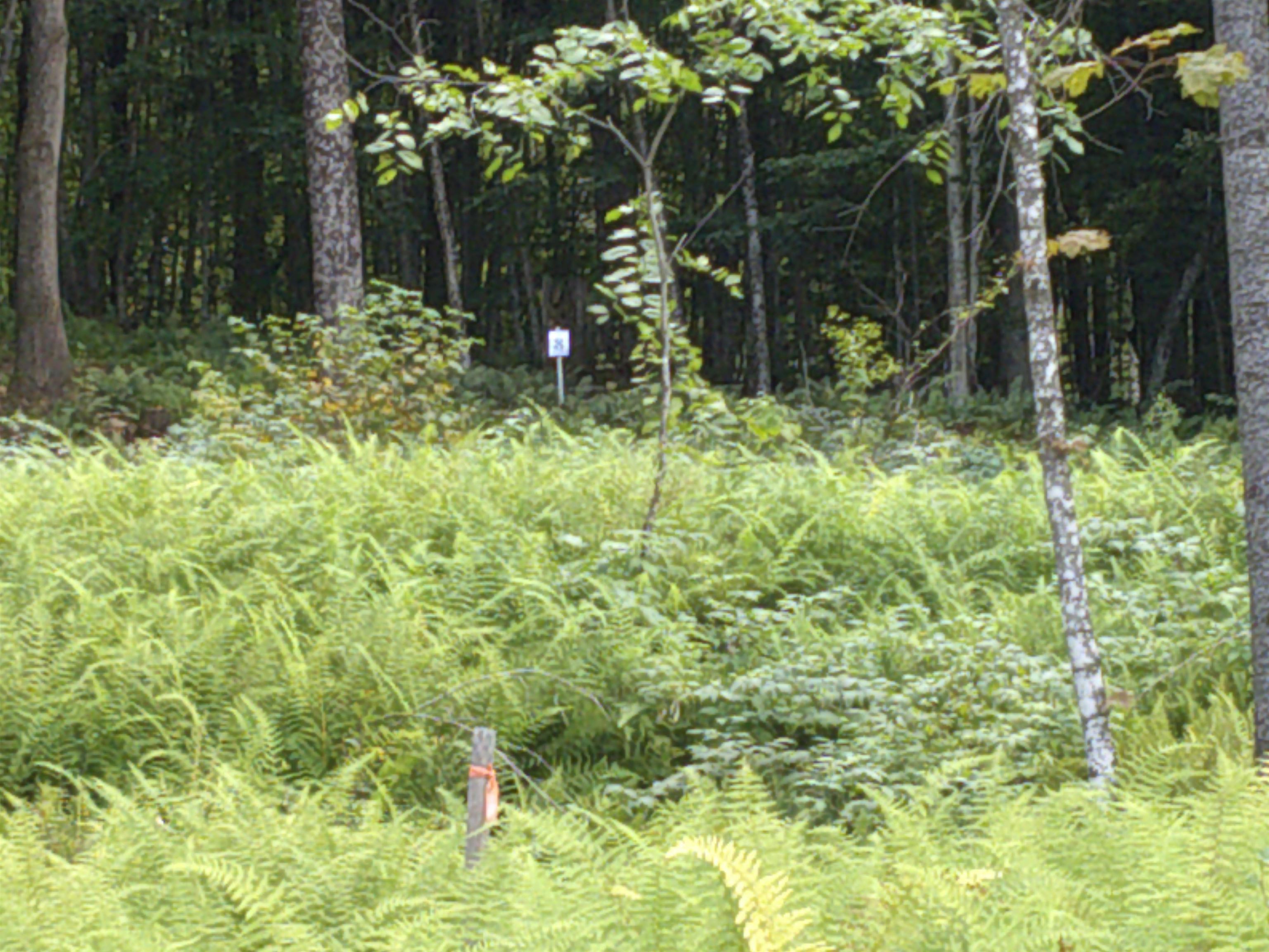 0 Dogwood Springs Road photo 12