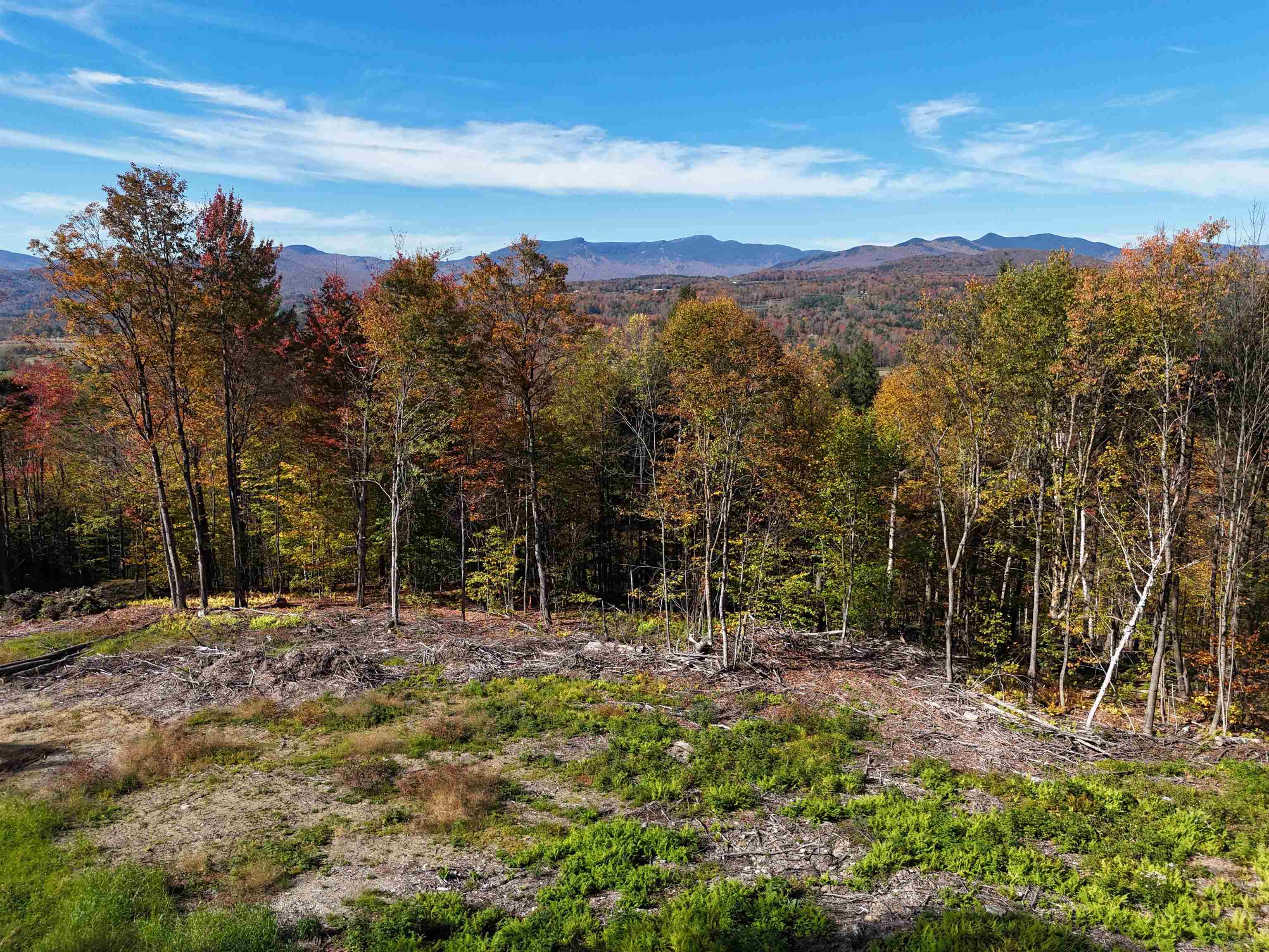 0 Dogwood Springs Road photo 19