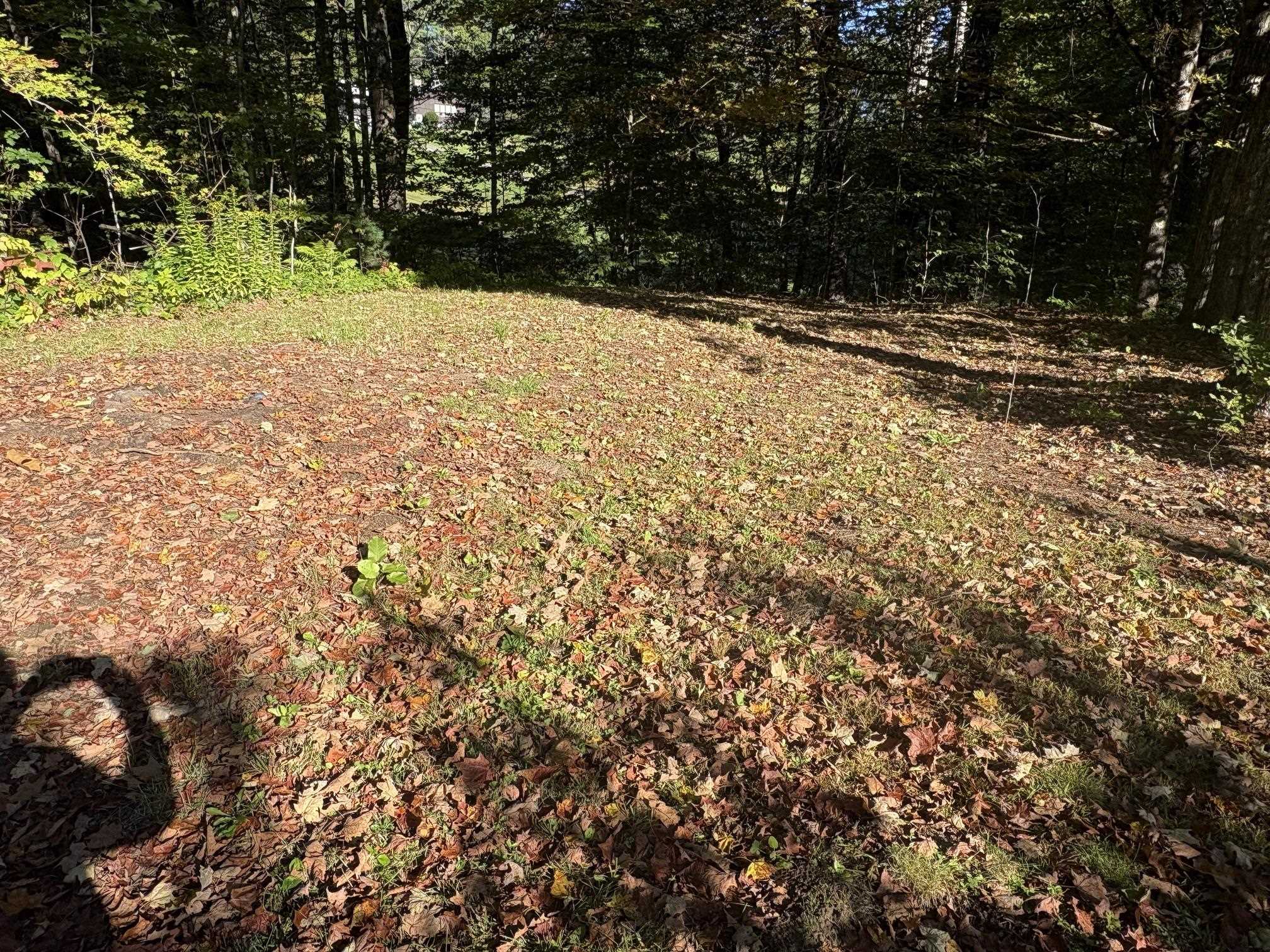 253 Quechee Road photo 19