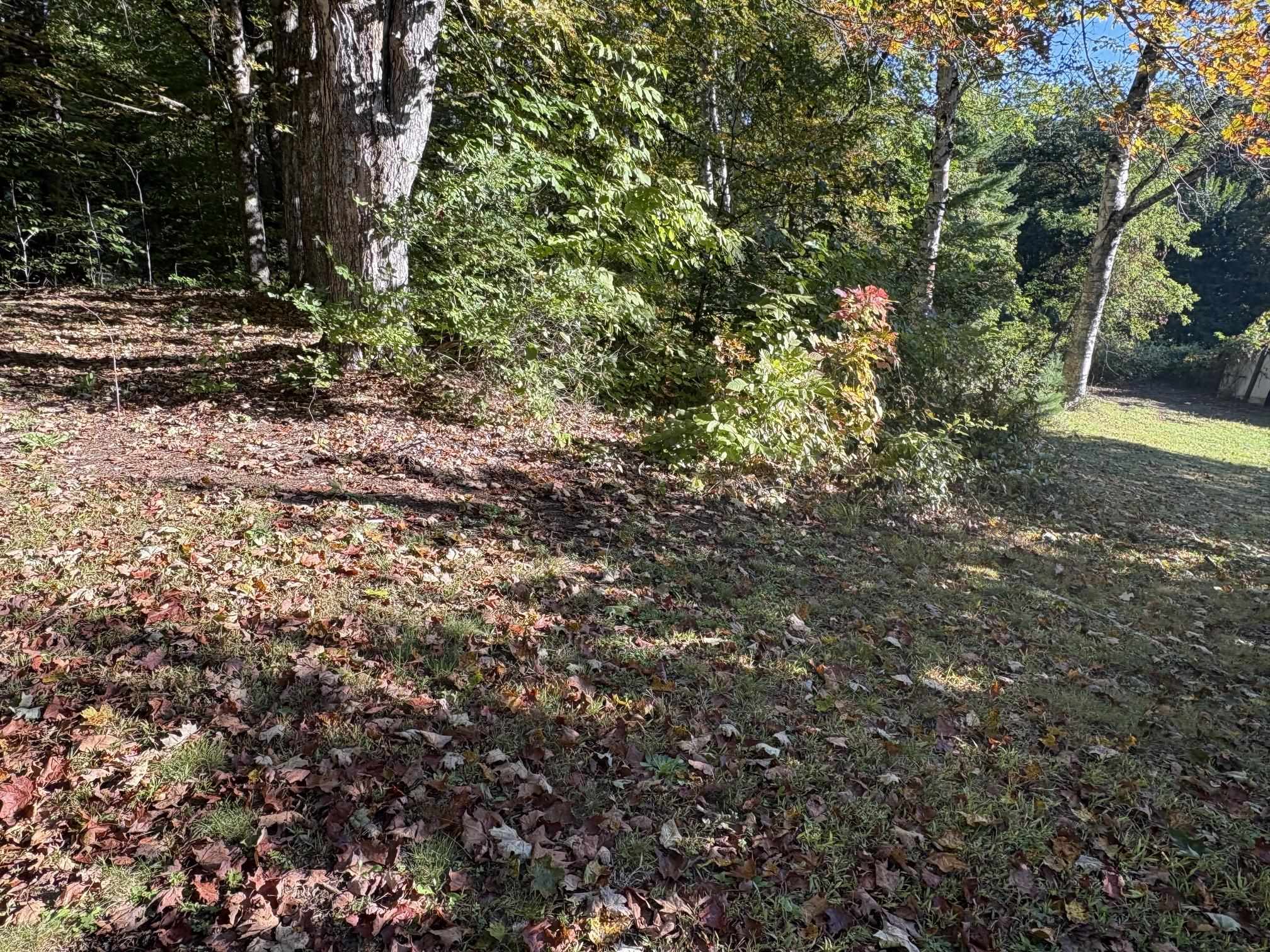 253 Quechee Road photo 20