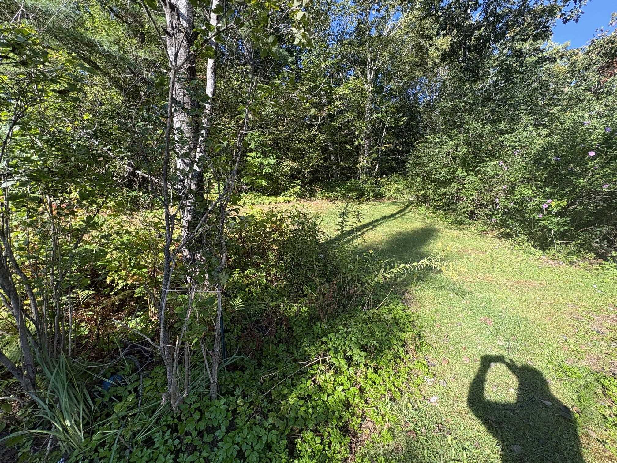 253 Quechee Road photo 22