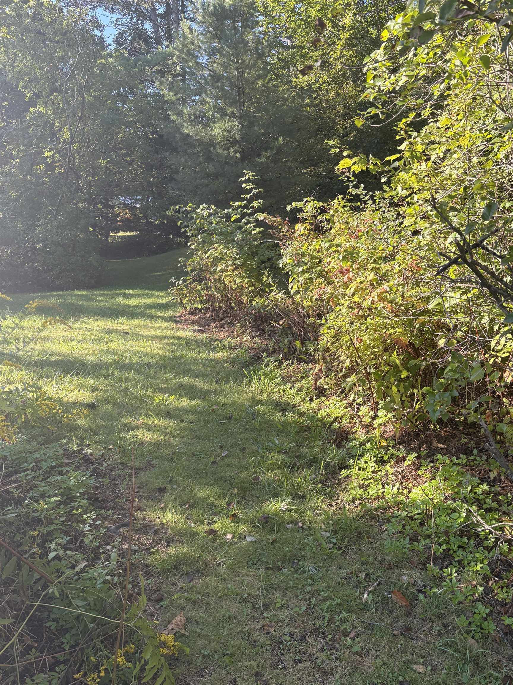 253 Quechee Road photo 23