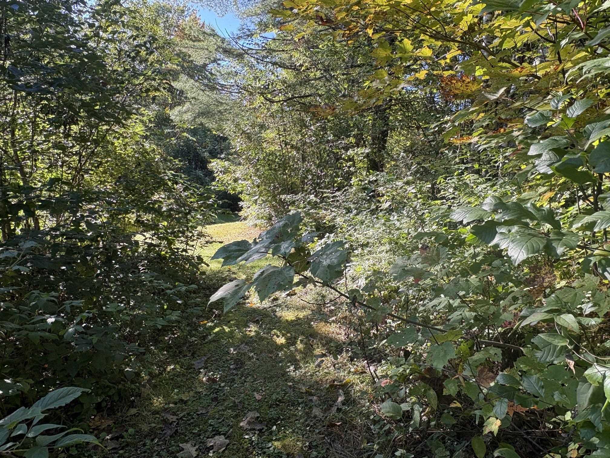253 Quechee Road photo 25