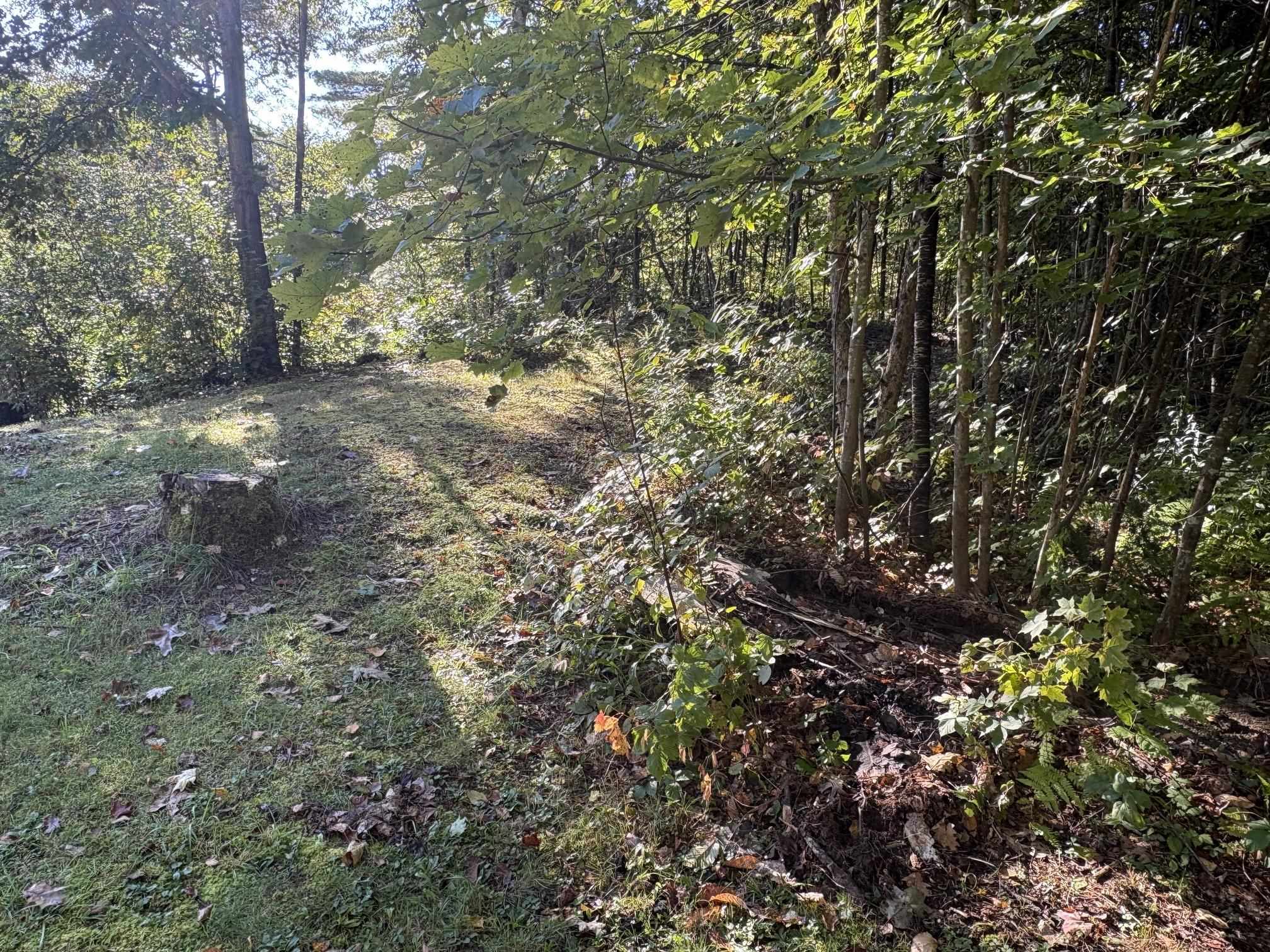253 Quechee Road photo 26
