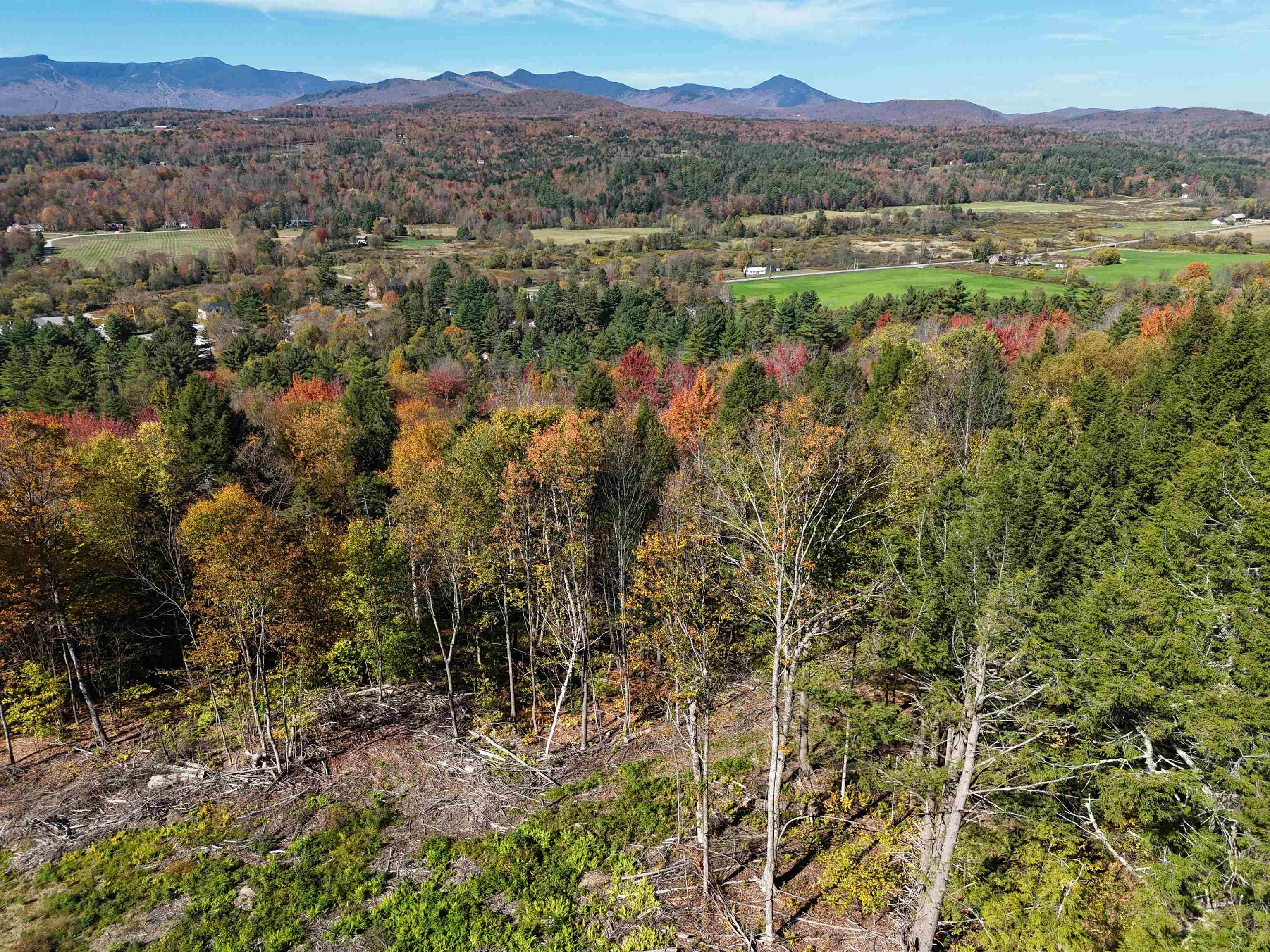0 Dogwood Springs Road photo 28