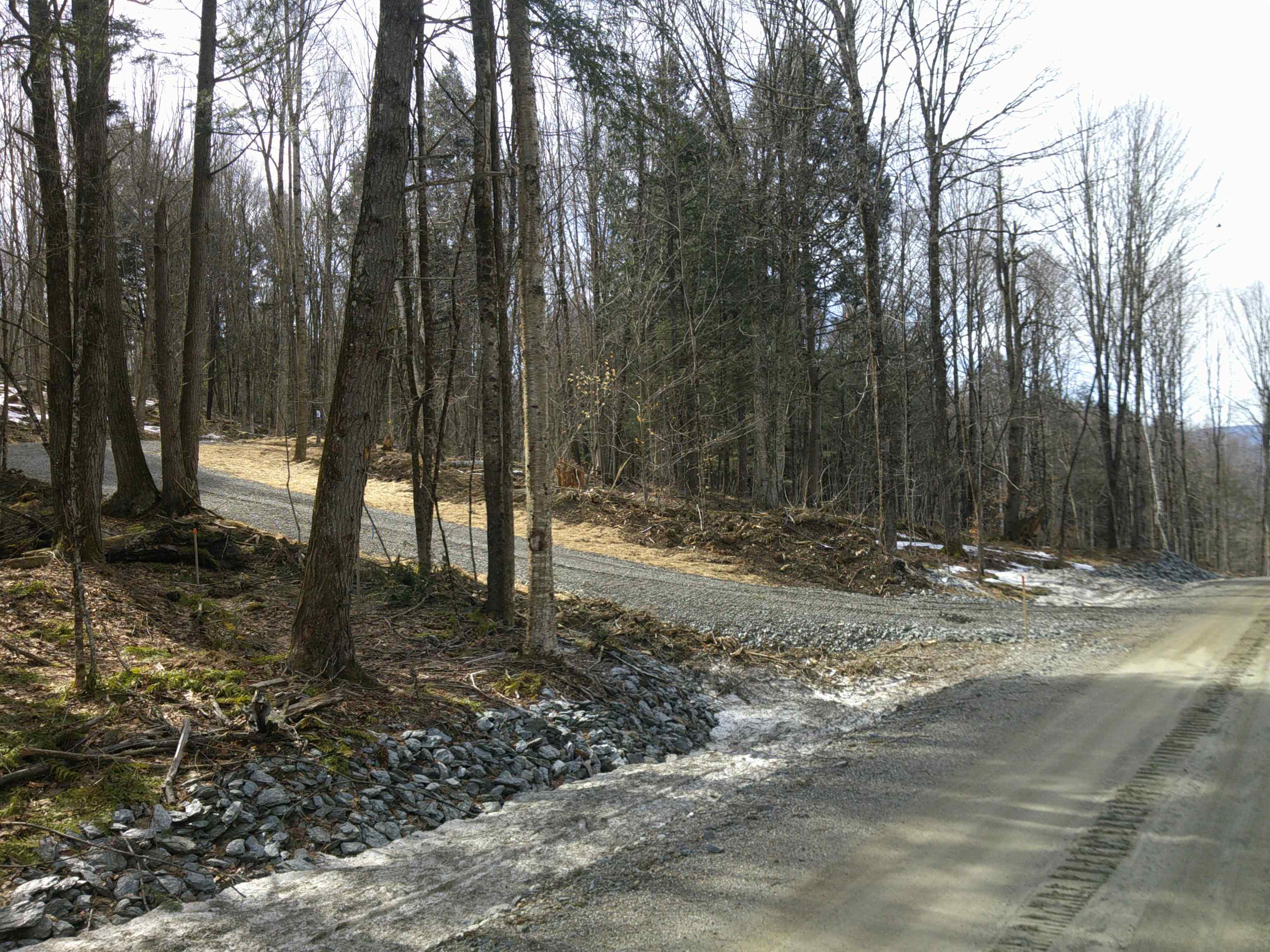 0 Dogwood Springs Road photo 30