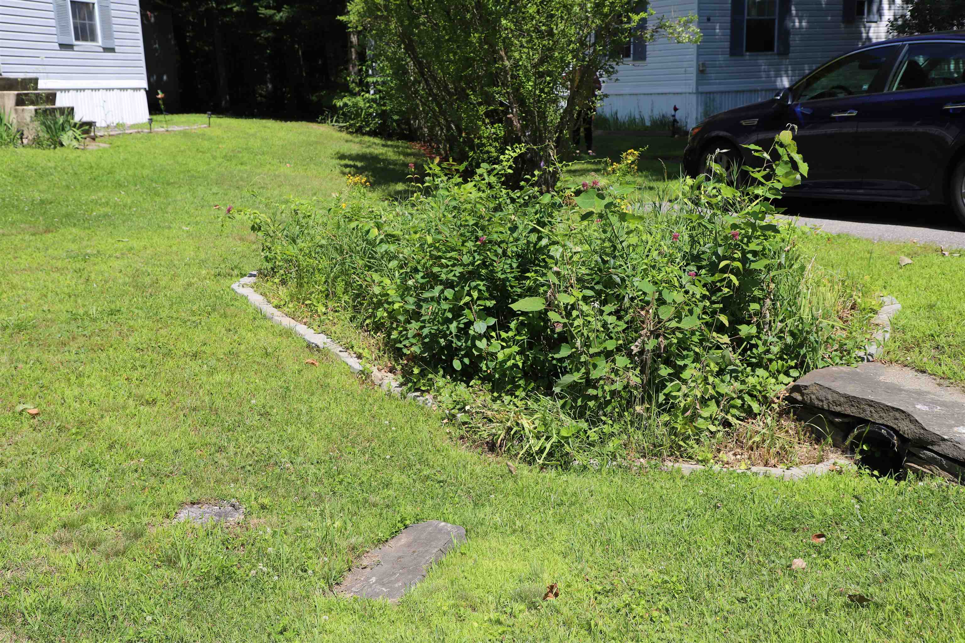 14 Deepwood Park photo 33