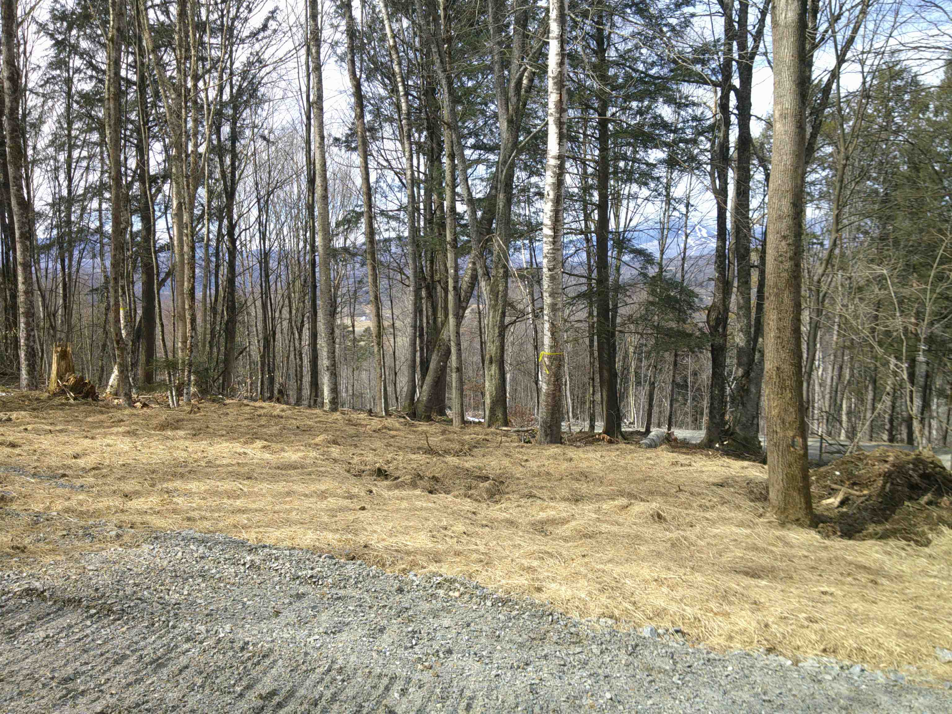0 Dogwood Springs Road photo 36