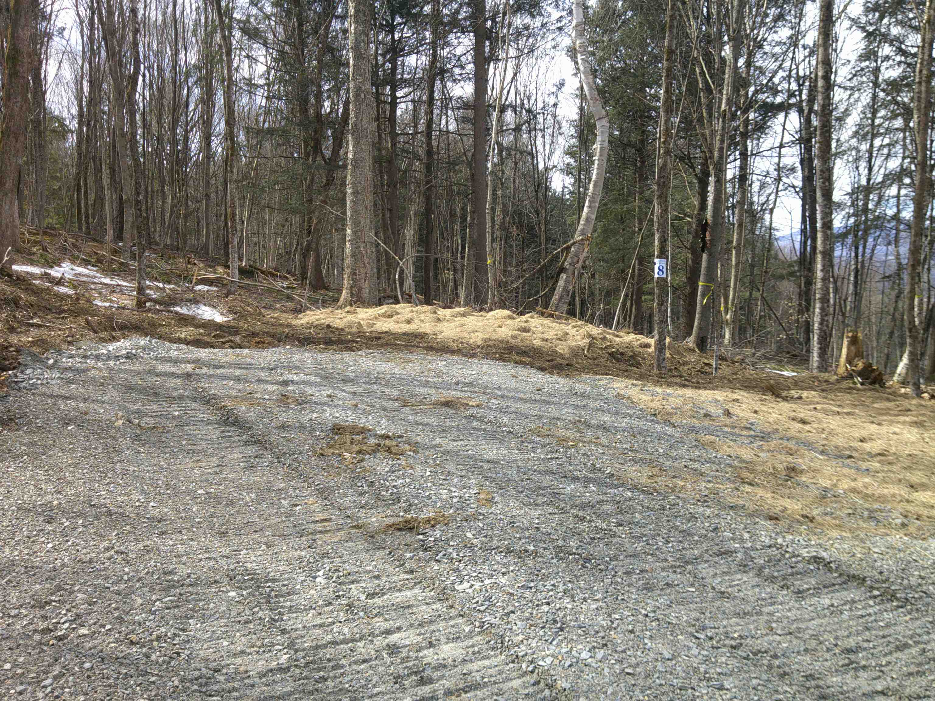 0 Dogwood Springs Road photo 37