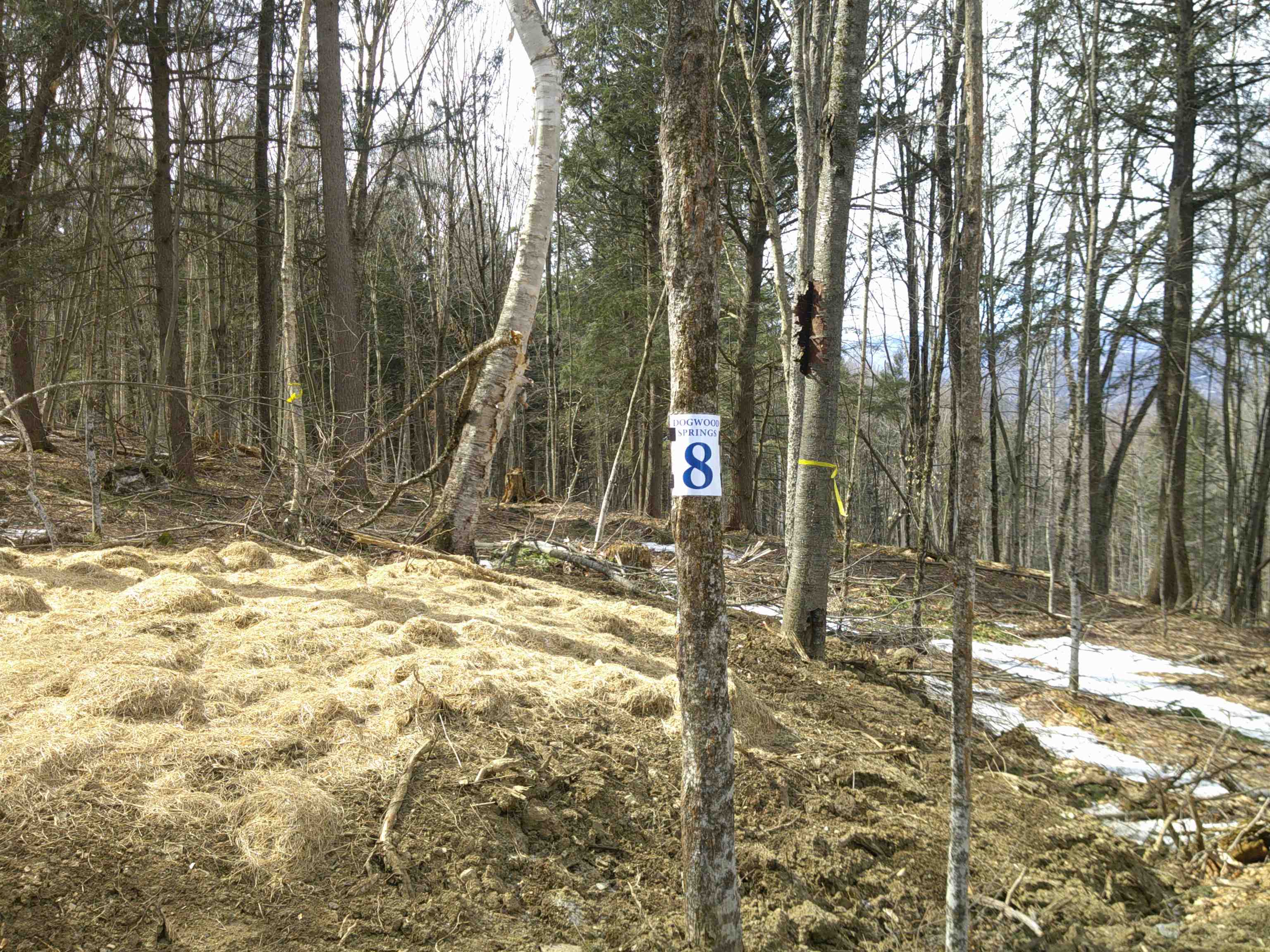 0 Dogwood Springs Road photo 38