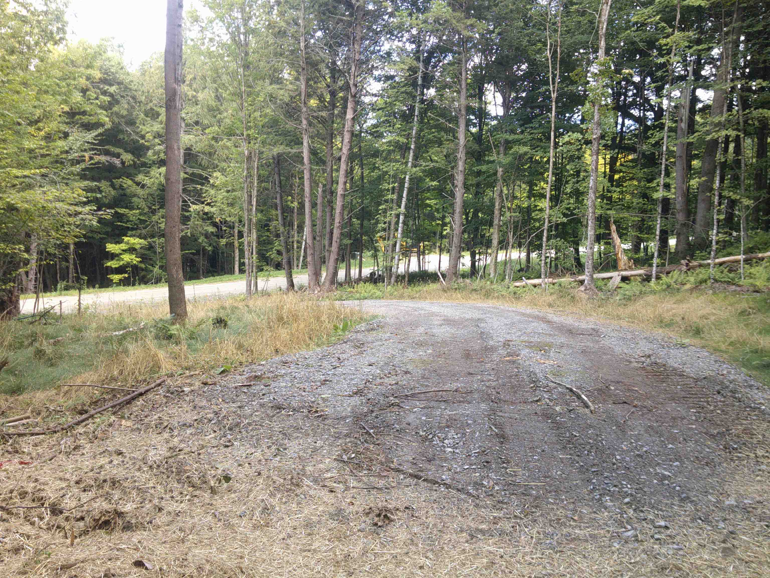 0 Dogwood Springs Road photo 39