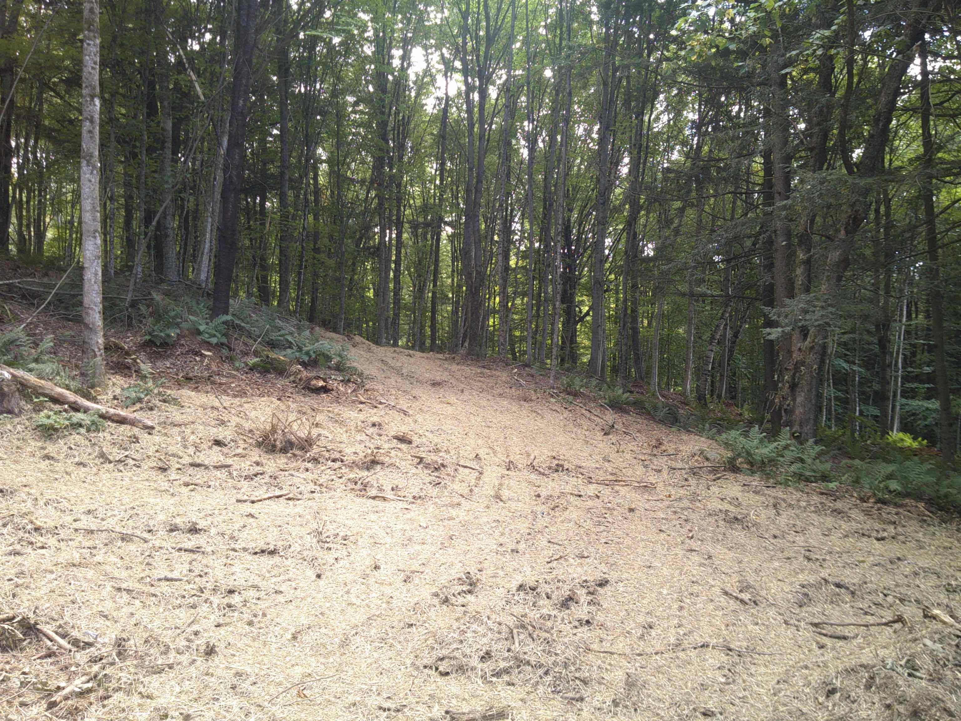 0 Dogwood Springs Road photo 40