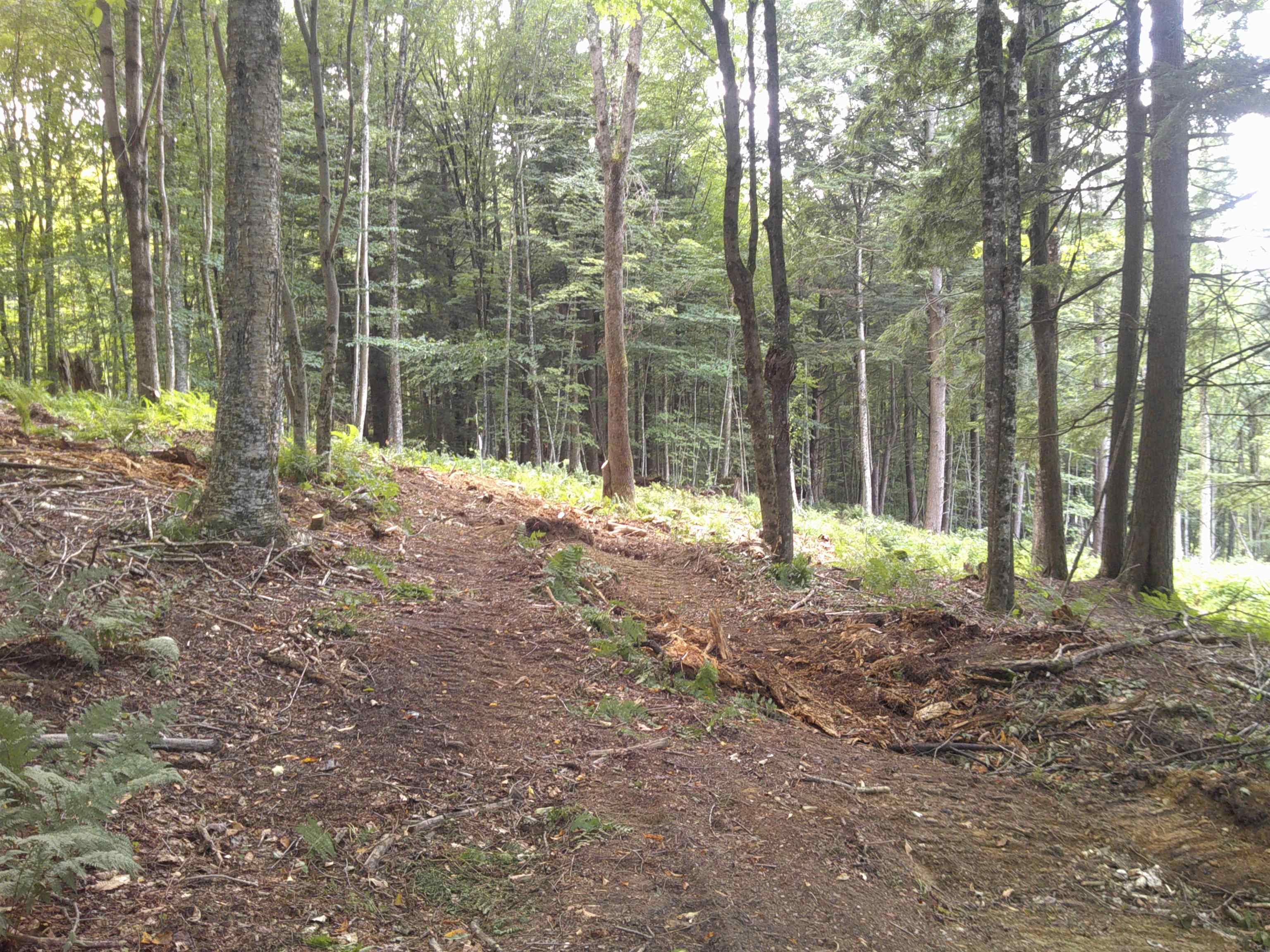0 Dogwood Springs Road photo 41