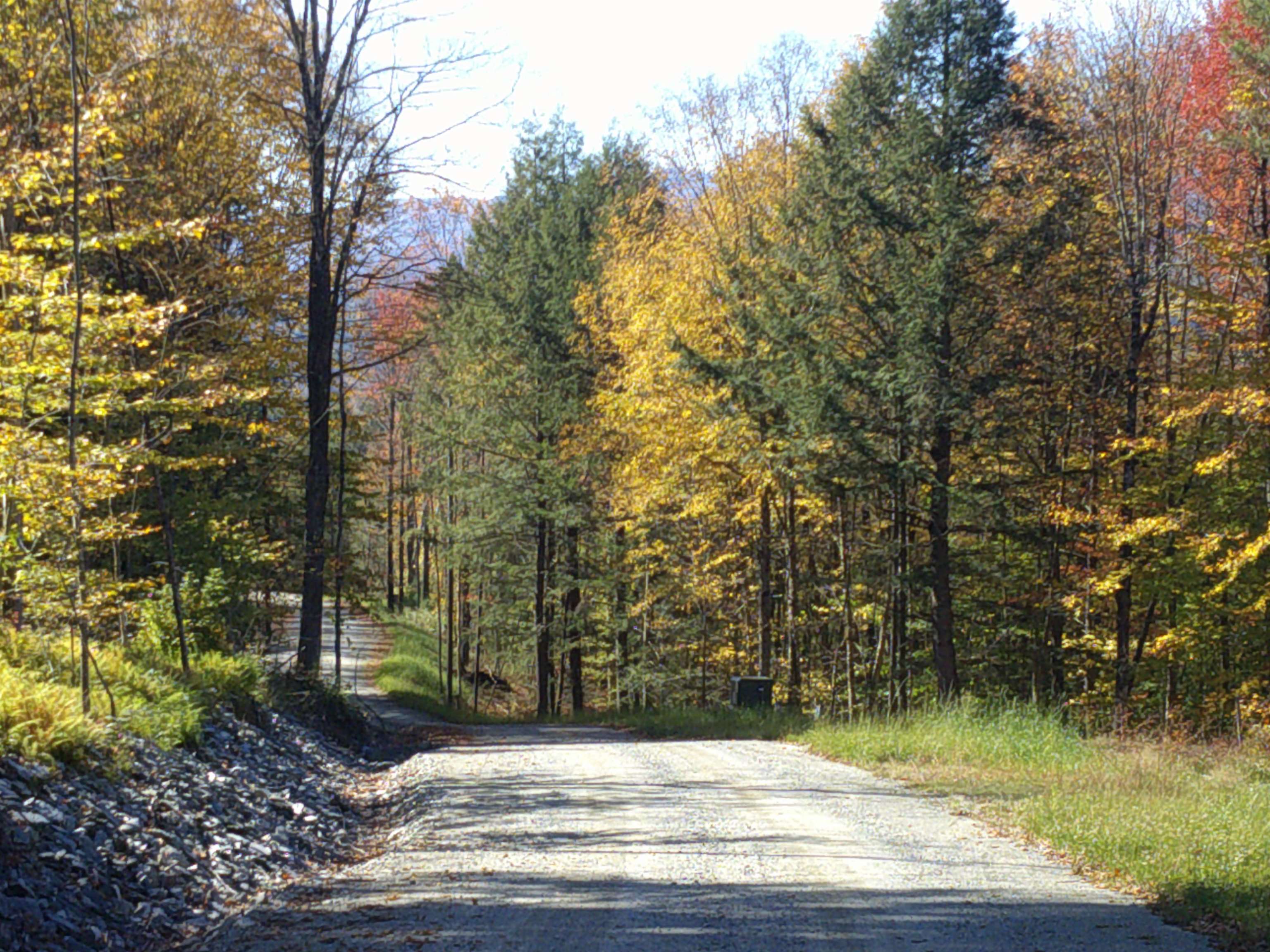 0 Dogwood Springs Road photo 43
