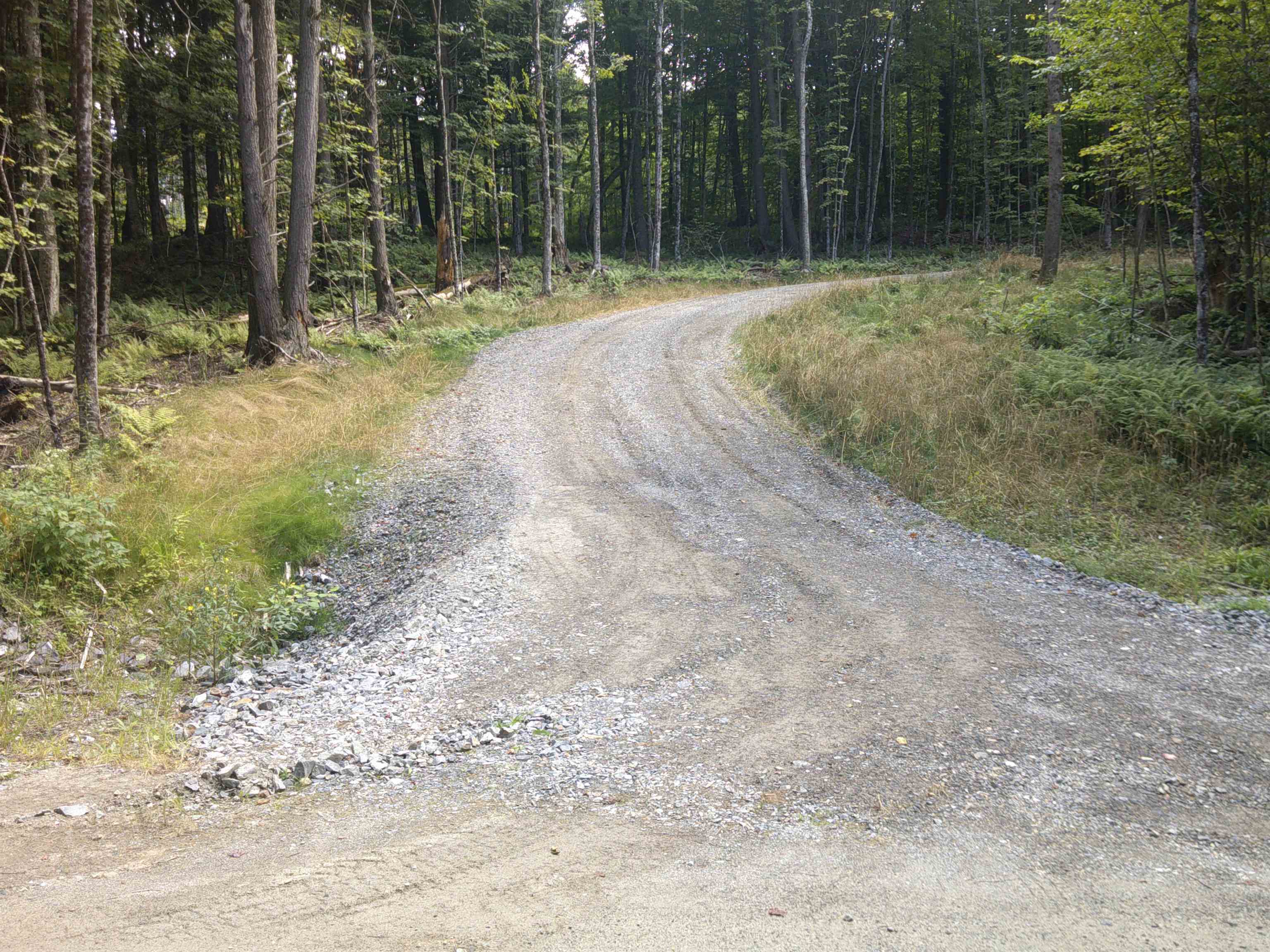 0 Dogwood Springs Road photo 6