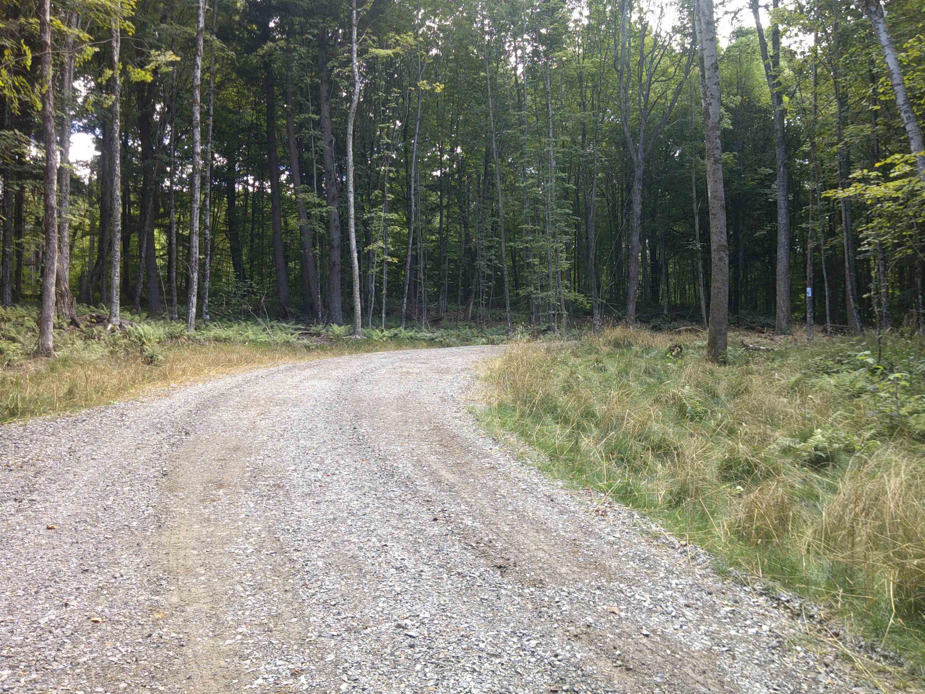 0 Dogwood Springs Road photo 7