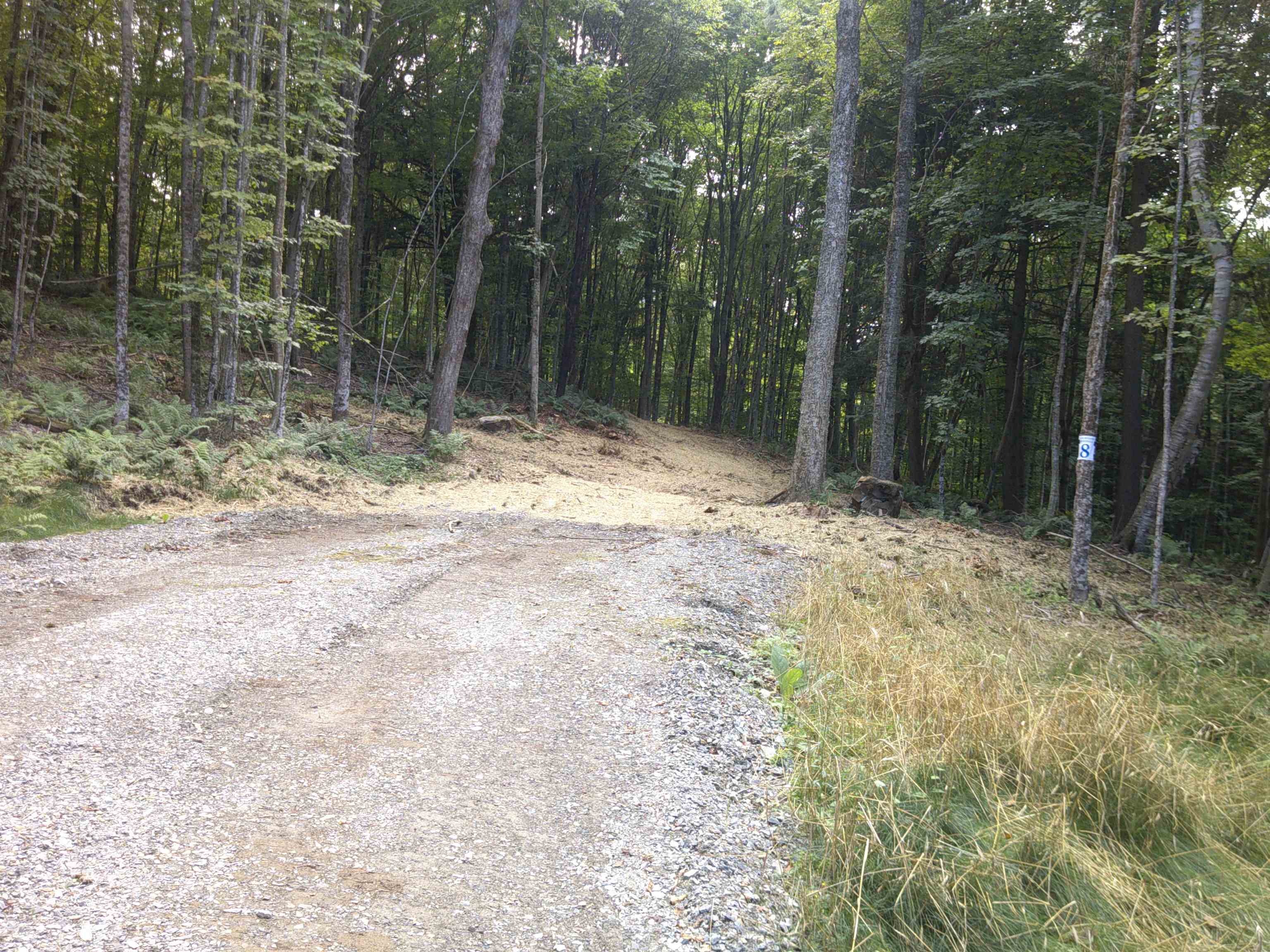 0 Dogwood Springs Road photo 8
