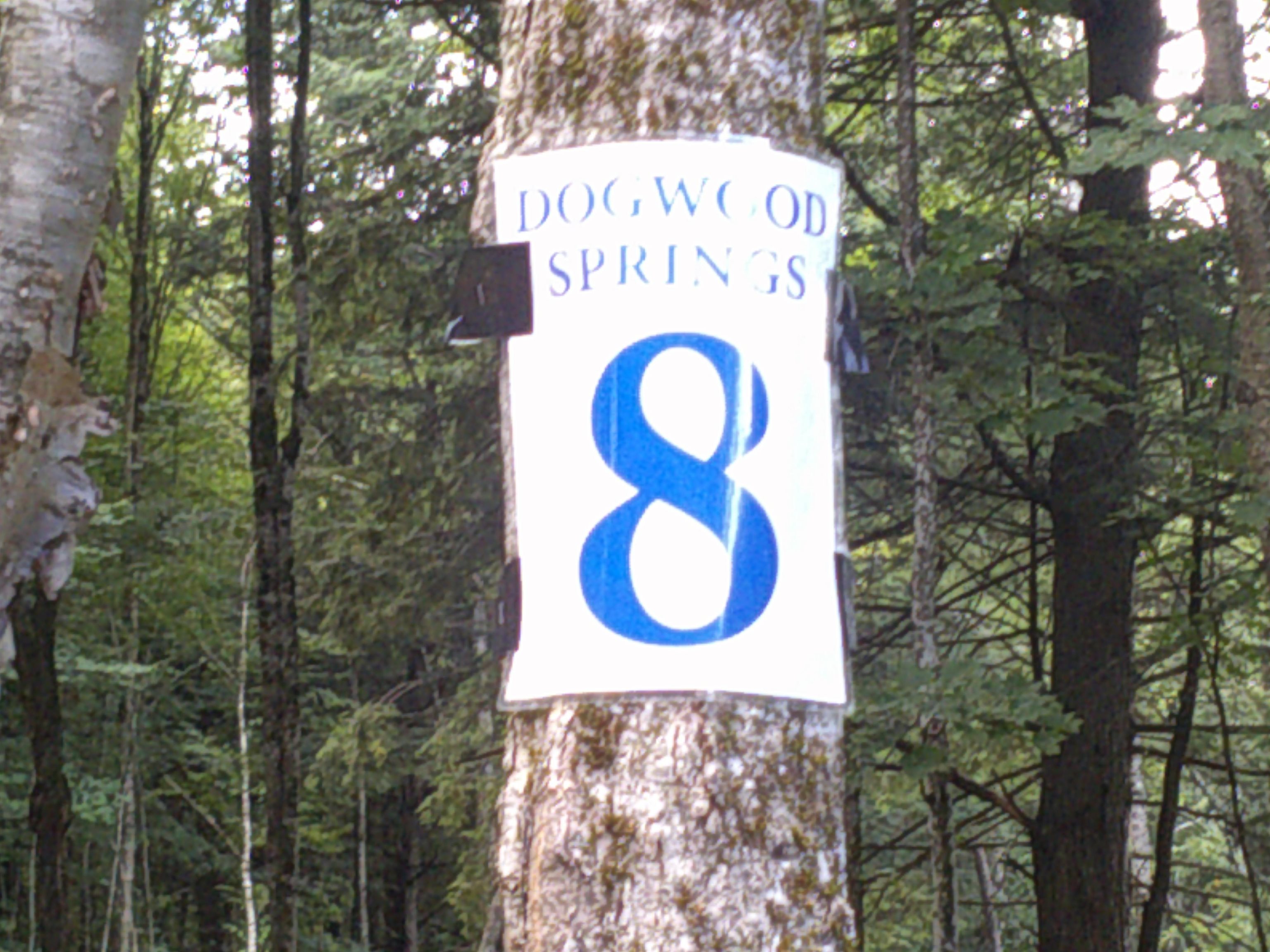 0 Dogwood Springs Road photo 9