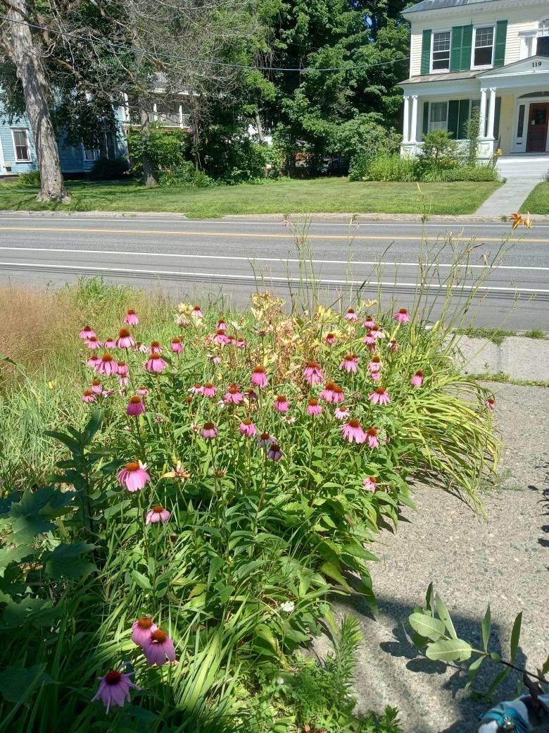 120 Western Avenue photo 41