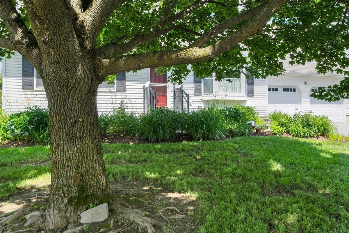 245 Pleasant Acres Drive photo 3