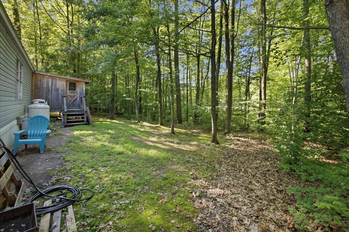 48 Lexington Road photo 6