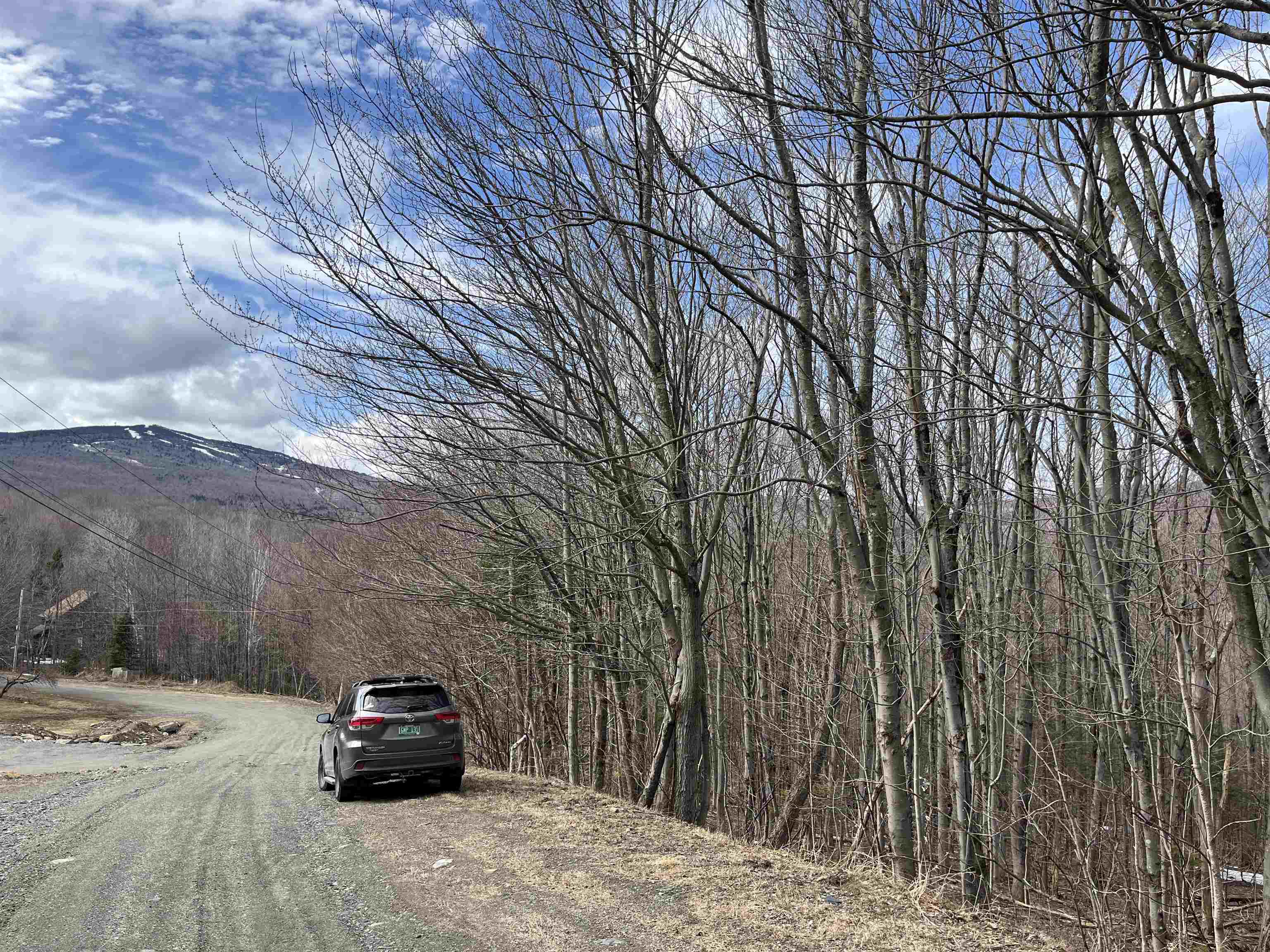 near Lot 36 Woodsman Road Dover, VT 05356 Property 2