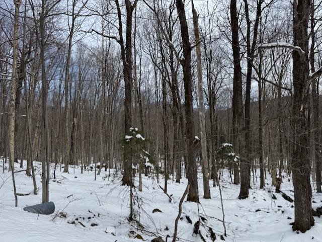 near 00 Highland Drive Montgomery, VT 05471 Property 2