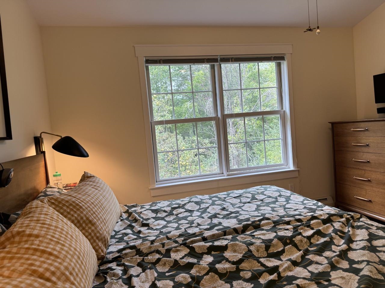 30 Mansfield Lane photo 21