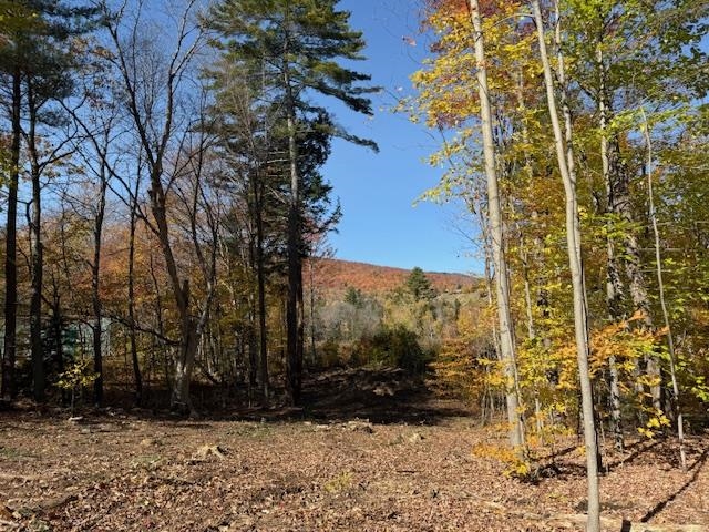 near 0 Route 155 Weston, VT 05161 Property 3
