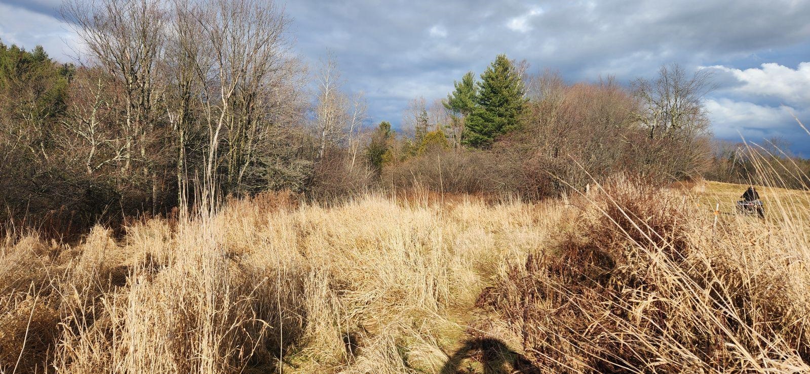 near Lot 2 off Viens Road Swanton, VT 05488 Property 1