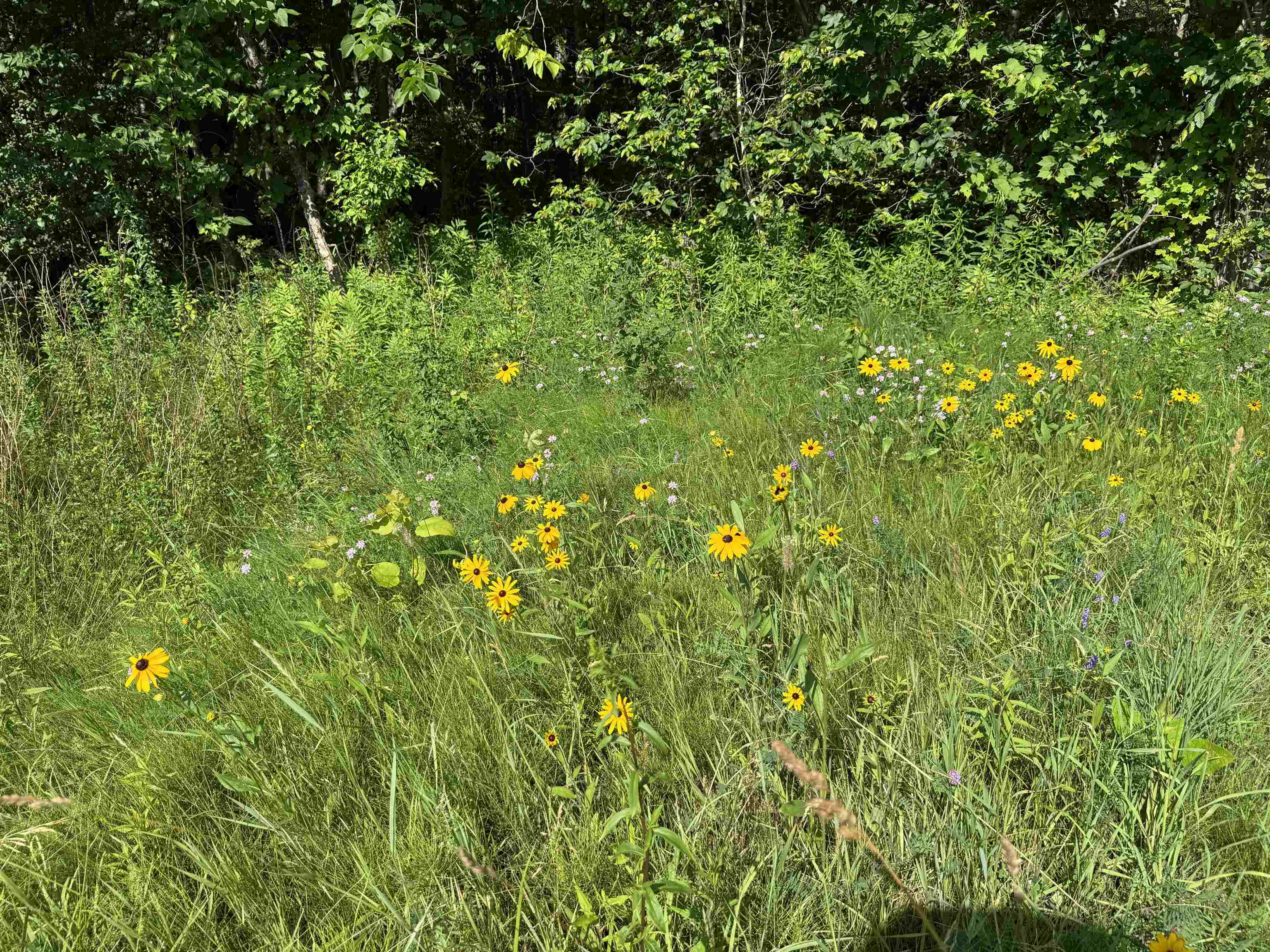 near Upper Plains Road Middlebury, VT 05753 Property 3
