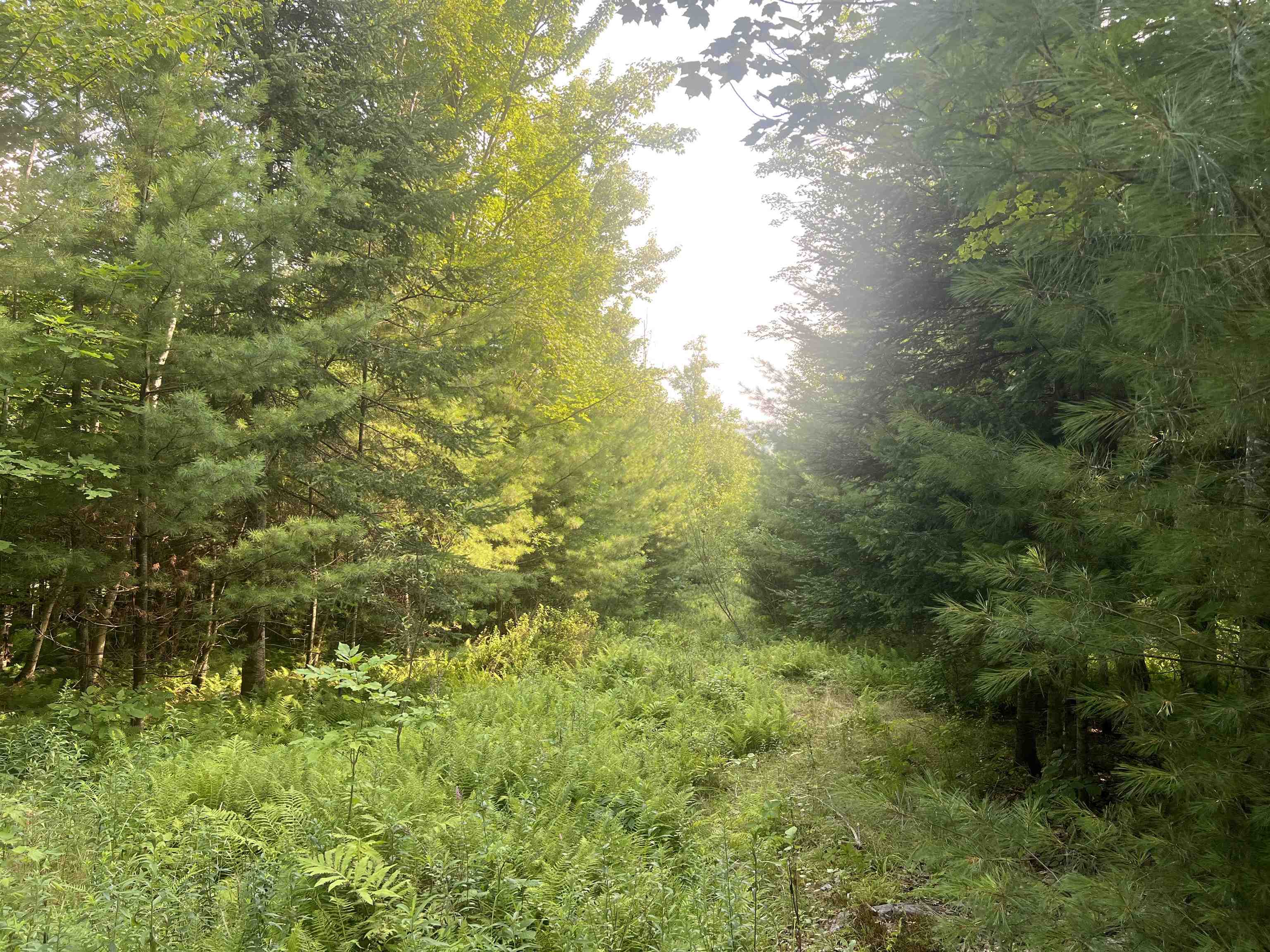 near 0 Hurlbut Hill Lane Waterford, VT 05819 Property 3