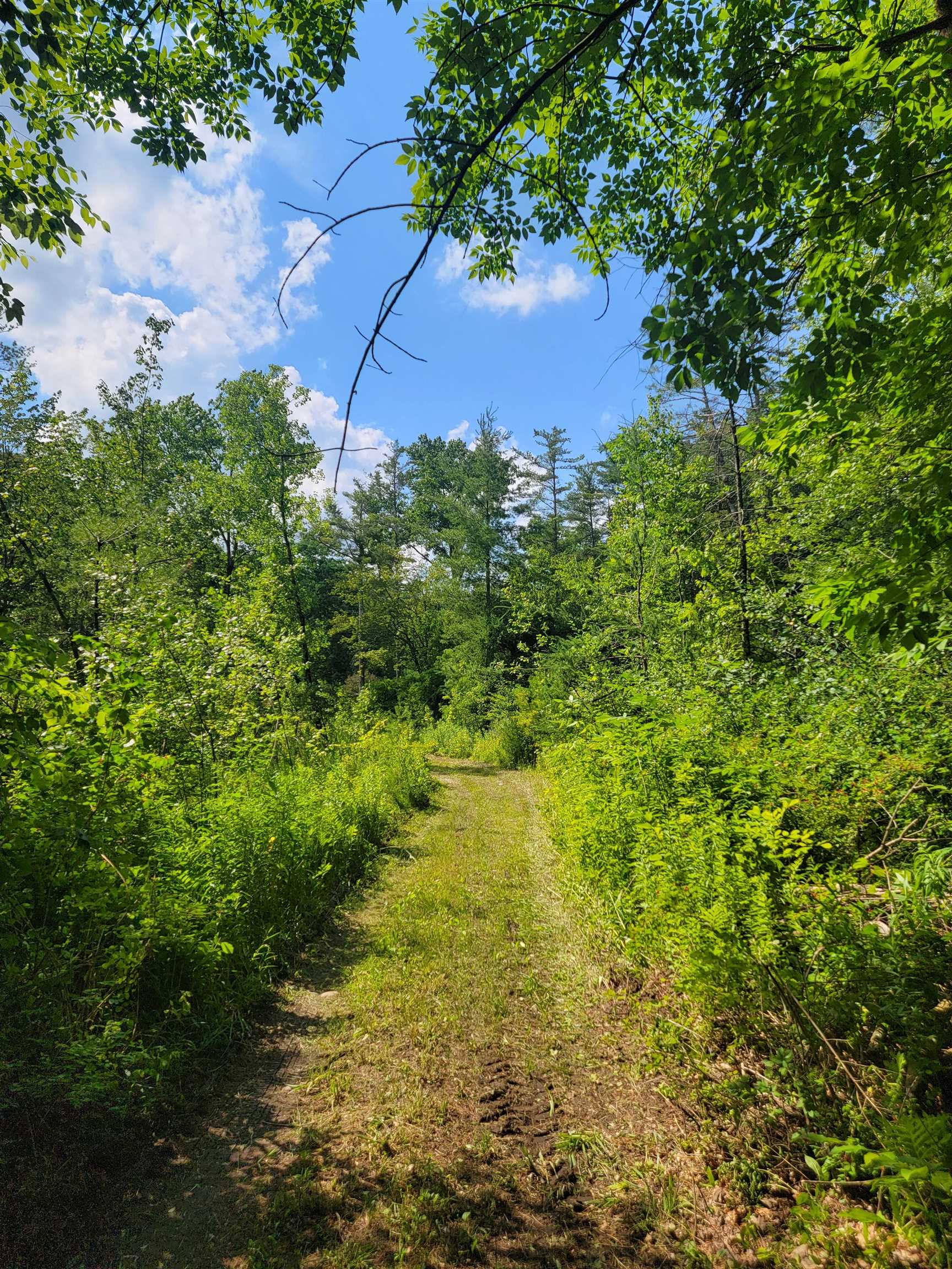 18 Hidden Valley Road photo 10