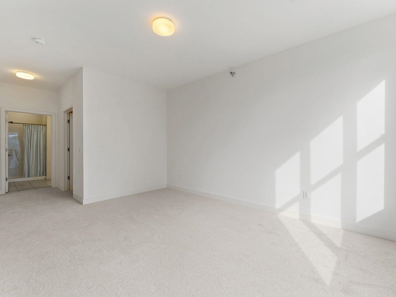 410 Farrell Street photo 18