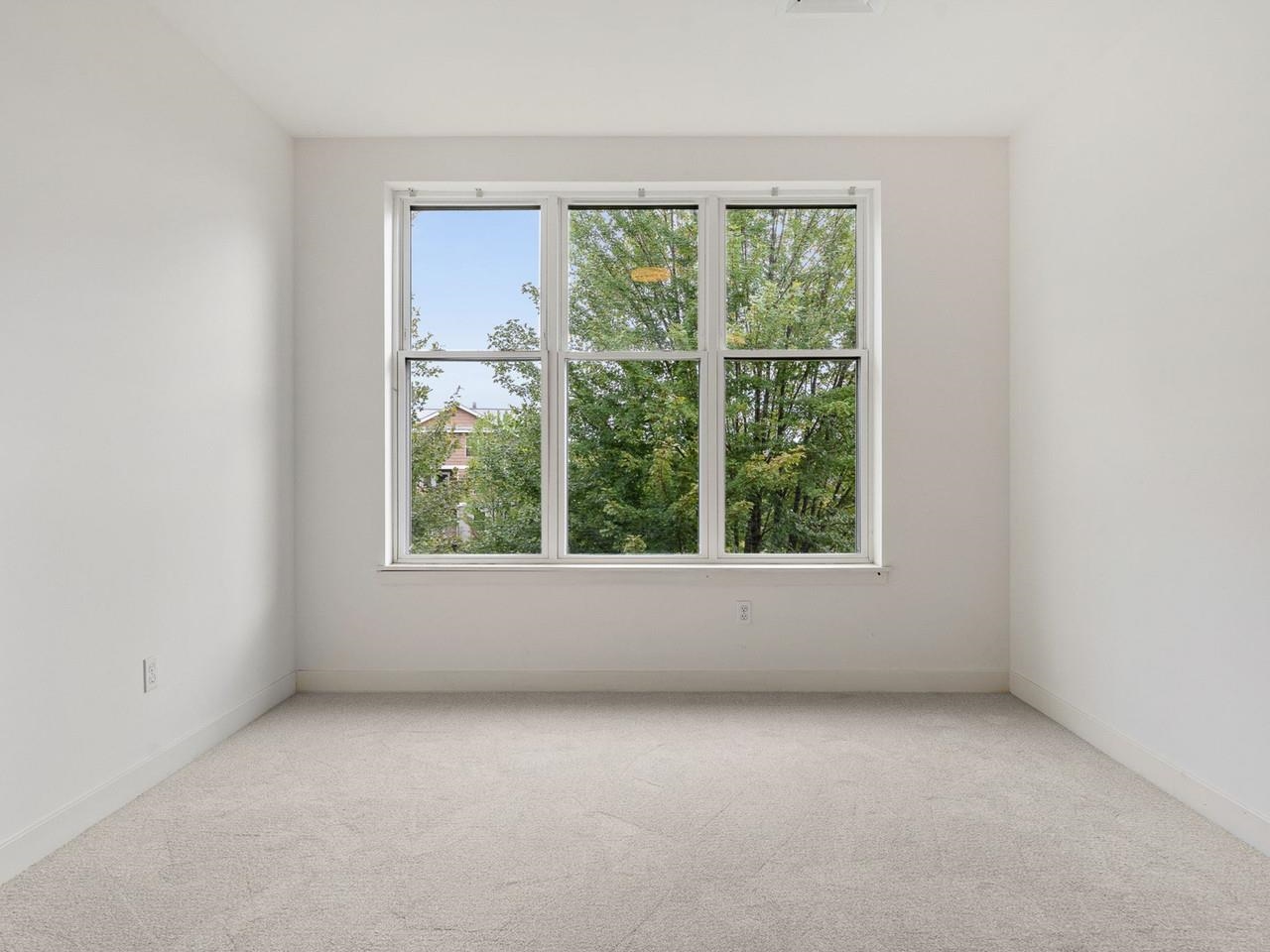 410 Farrell Street photo 21