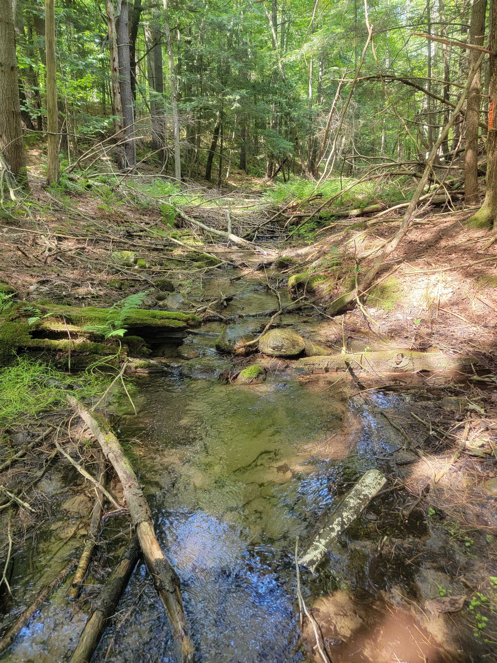 18 Hidden Valley Road photo 3
