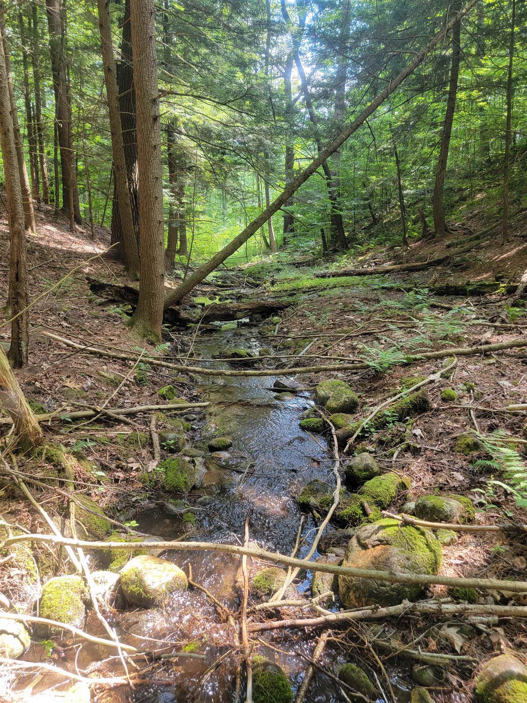 18 Hidden Valley Road photo 4